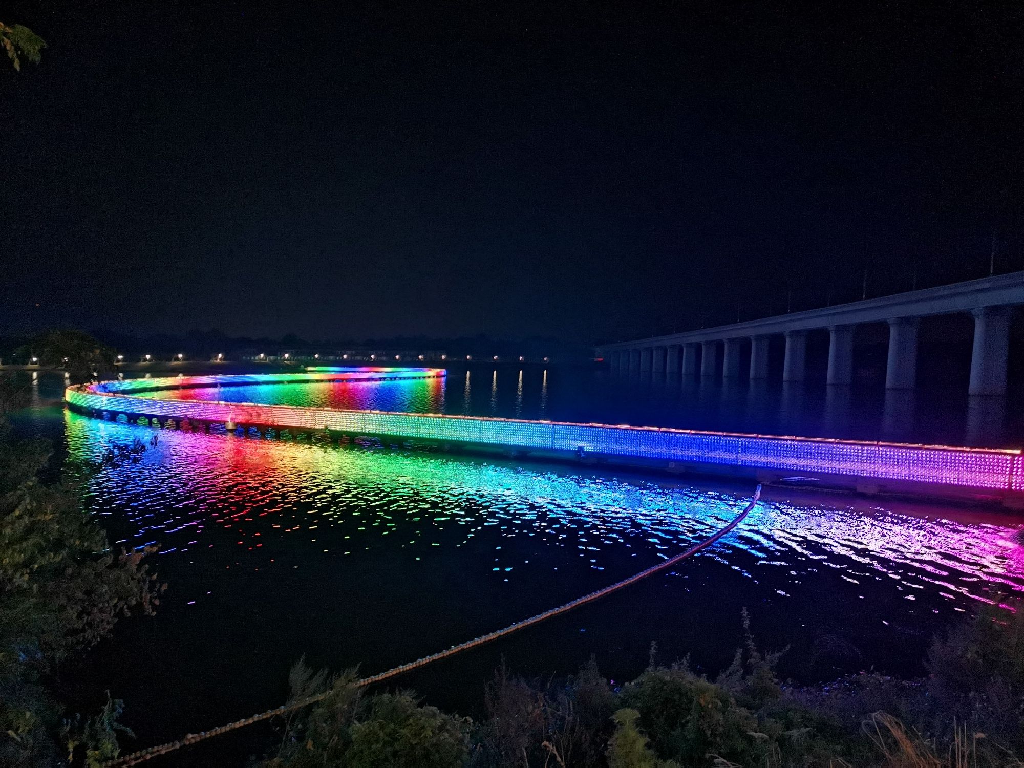 赛城湖绿道庐逸桥(彩虹桥)旅行图片 1