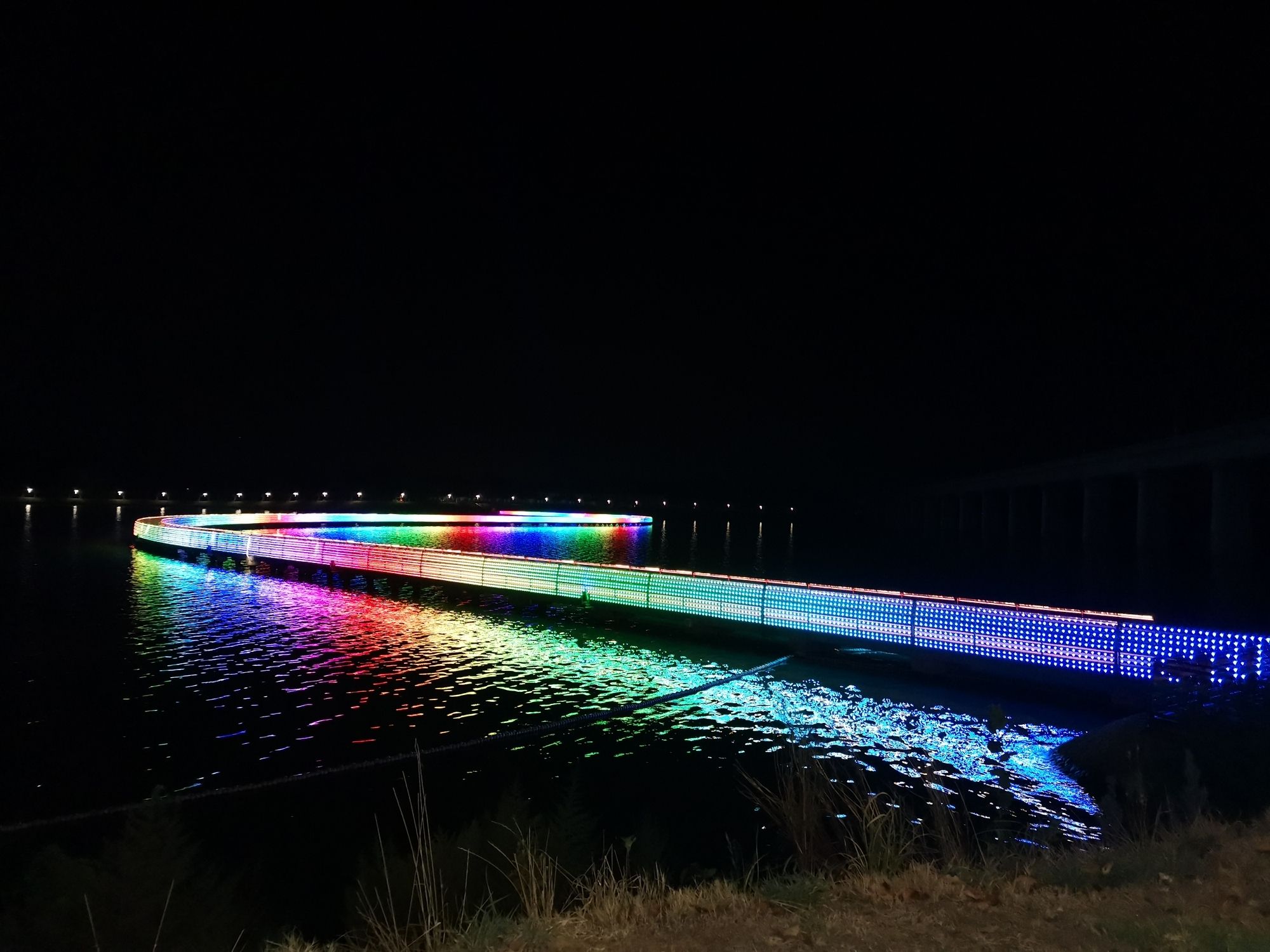 赛城湖绿道庐逸桥(彩虹桥)旅行图片 3