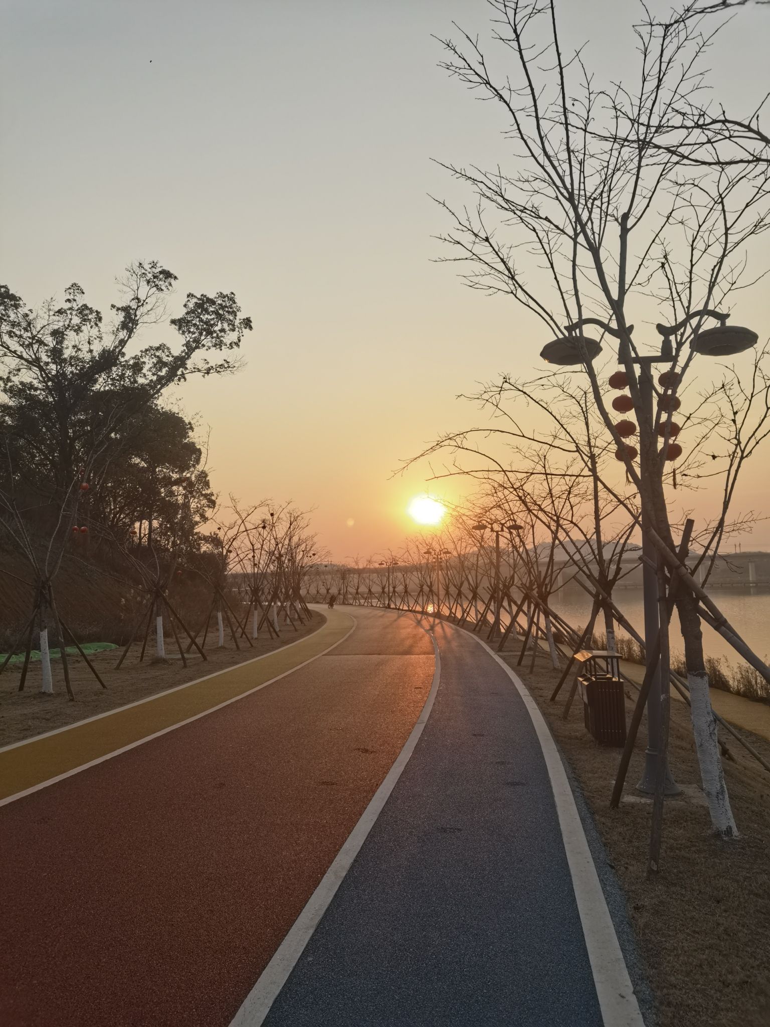 赛城湖绿道庐逸桥(彩虹桥)旅行图片 3