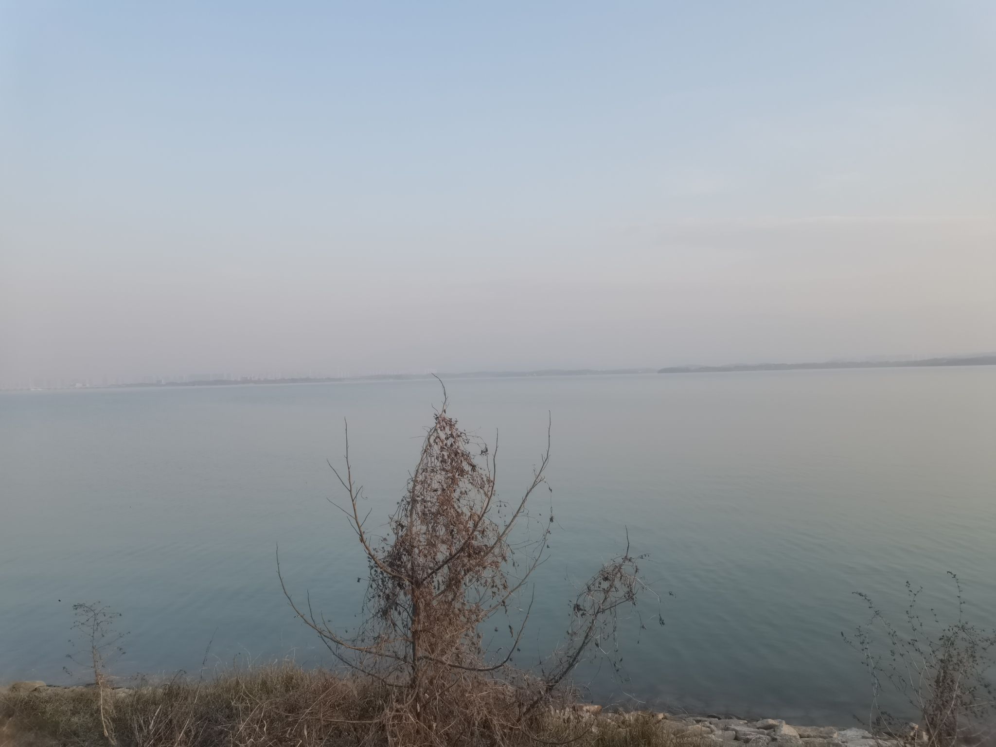 赛城湖绿道庐逸桥(彩虹桥)旅行图片 2