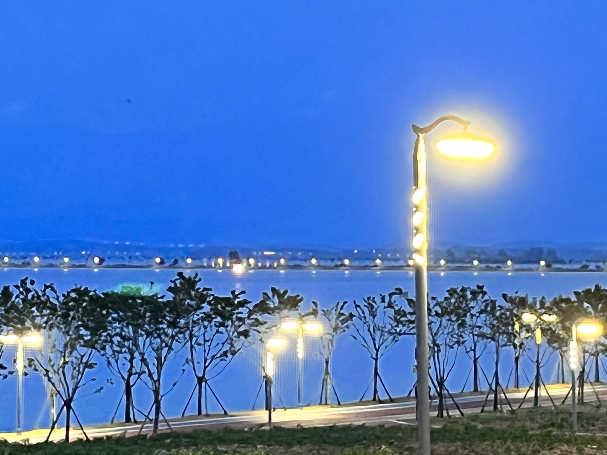 赛城湖绿道庐逸桥(彩虹桥)旅行图片 2