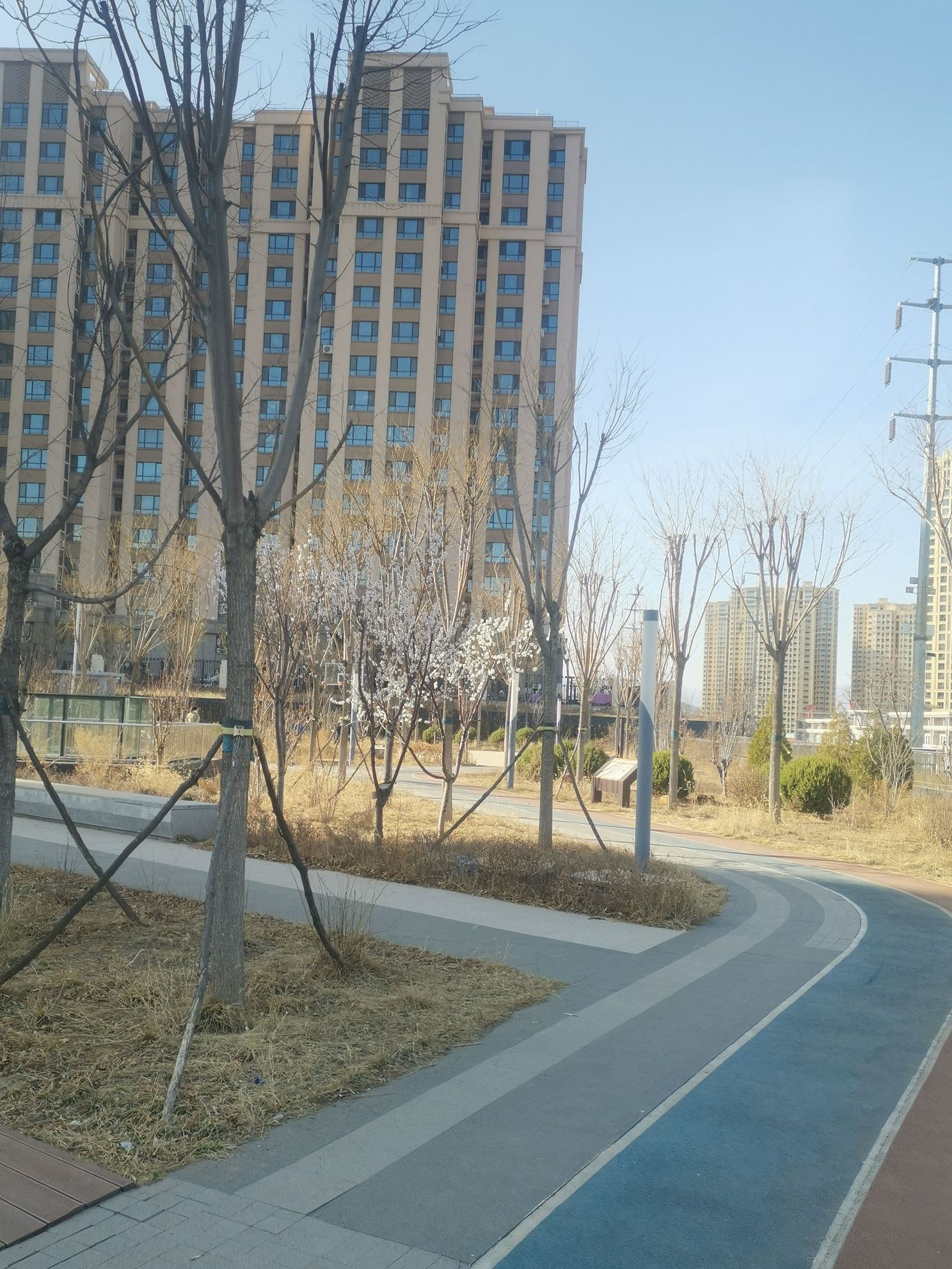 秦皇岛人防公园旅行图片 3