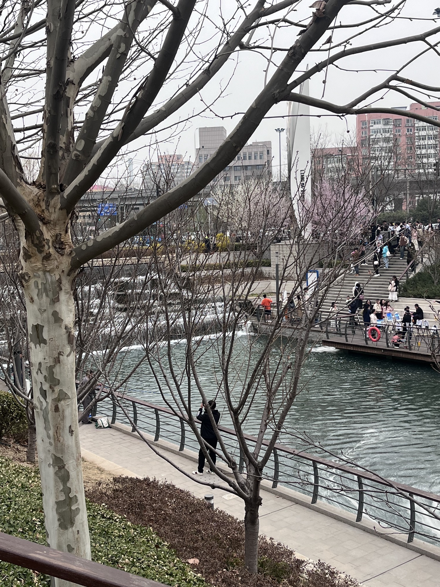 亮马河公园旅行图片 2