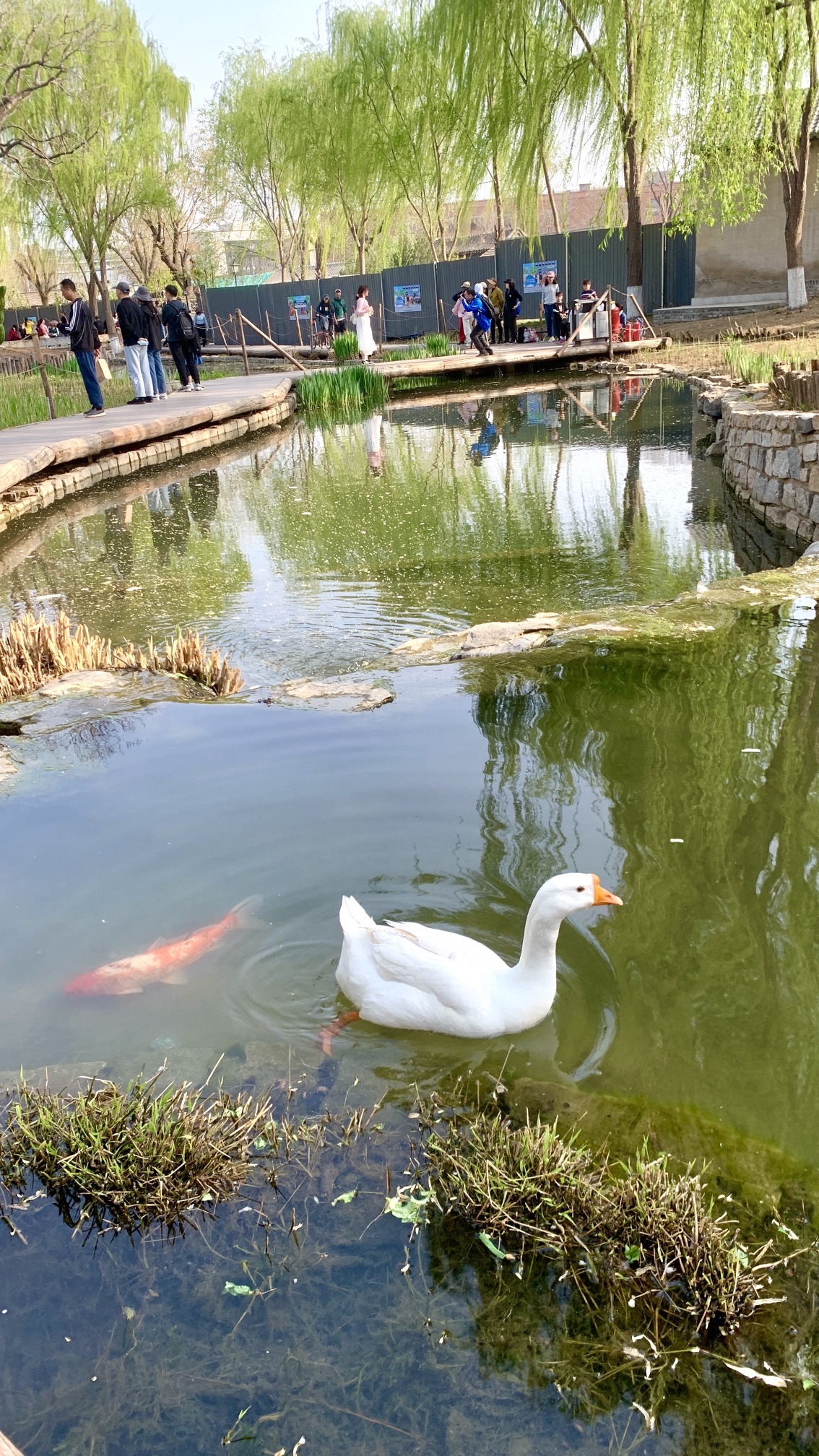 亮马河公园旅行图片 2