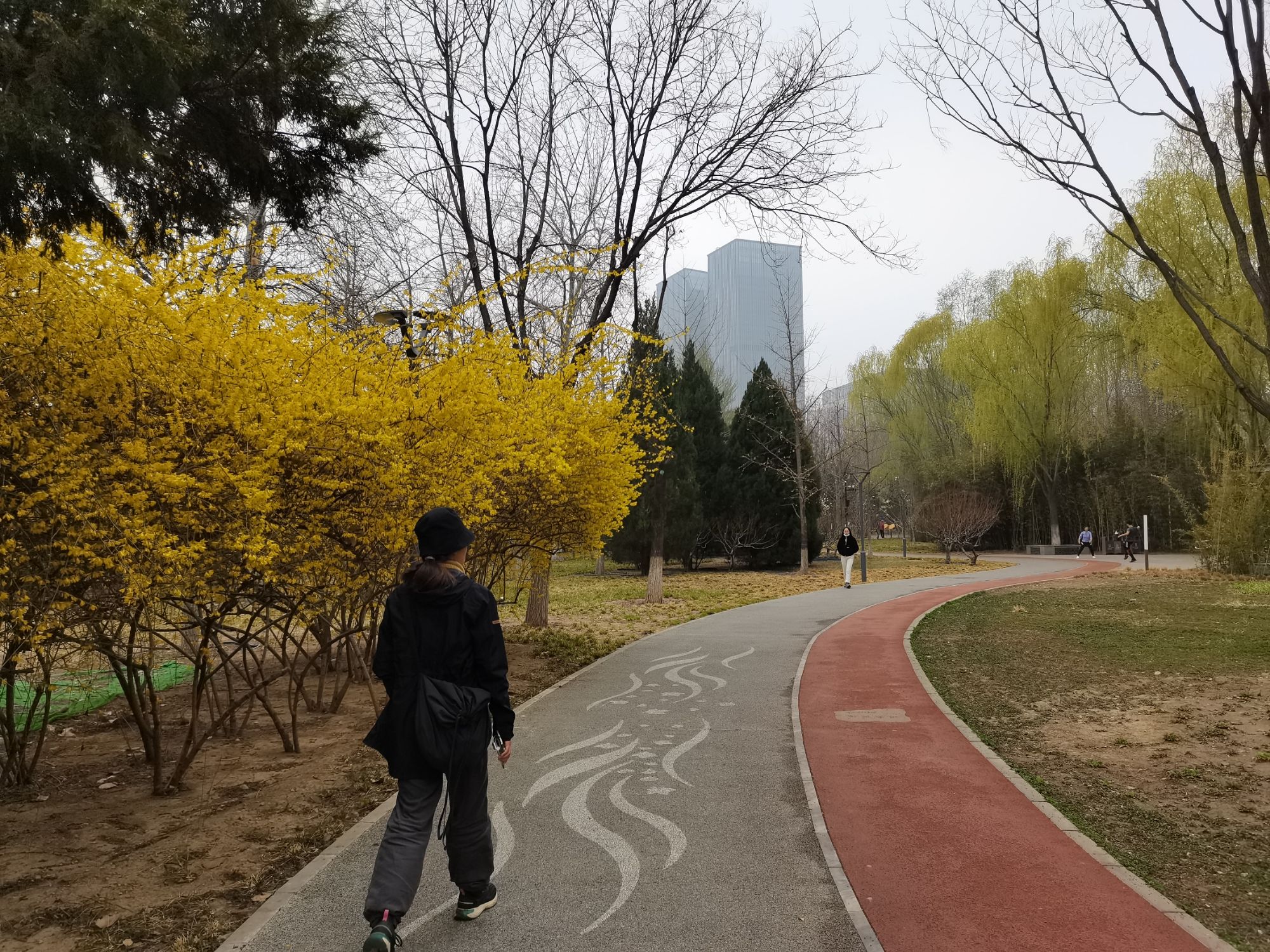 亮马河公园旅行图片 1
