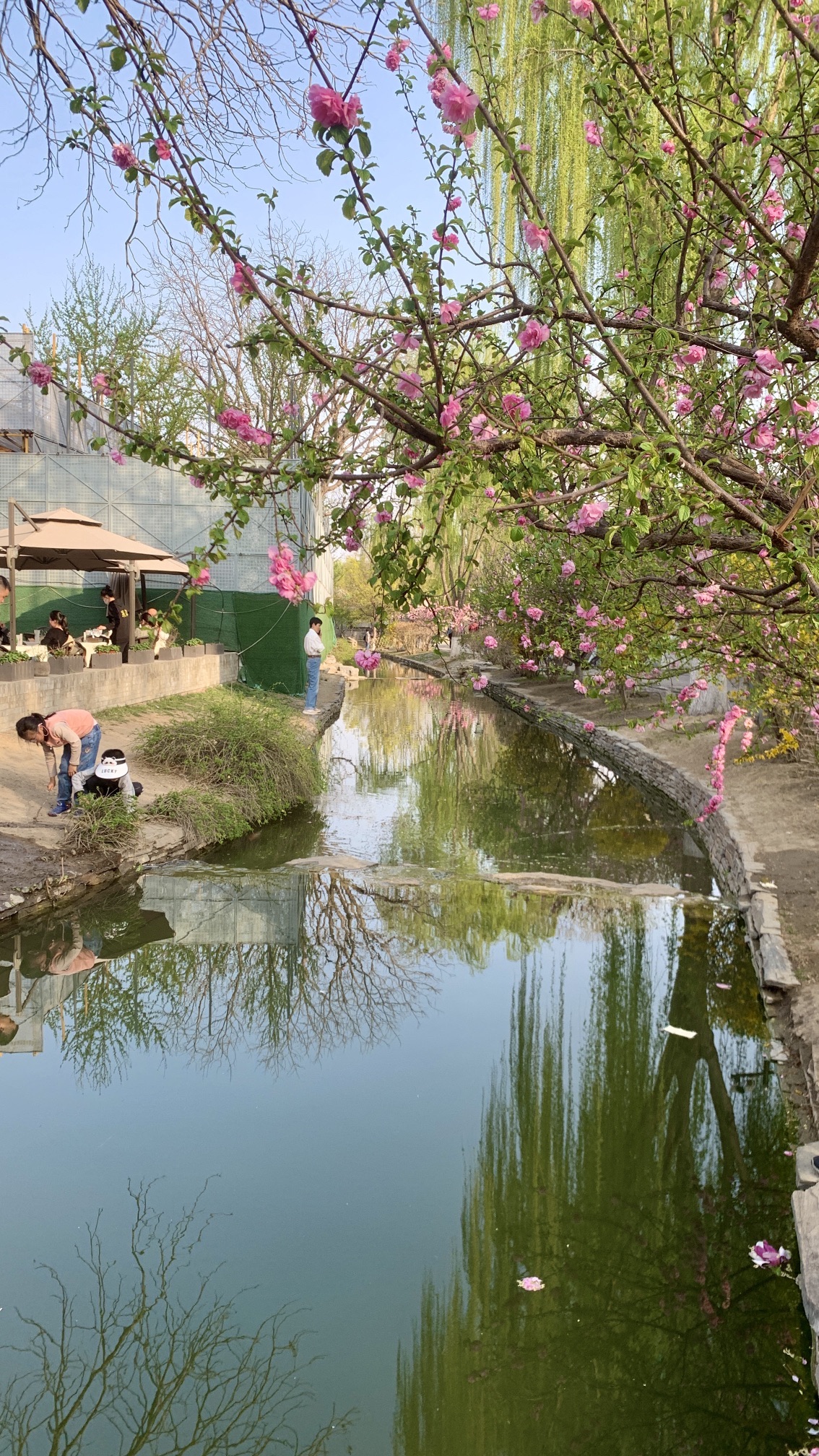 亮马河公园旅行图片 1