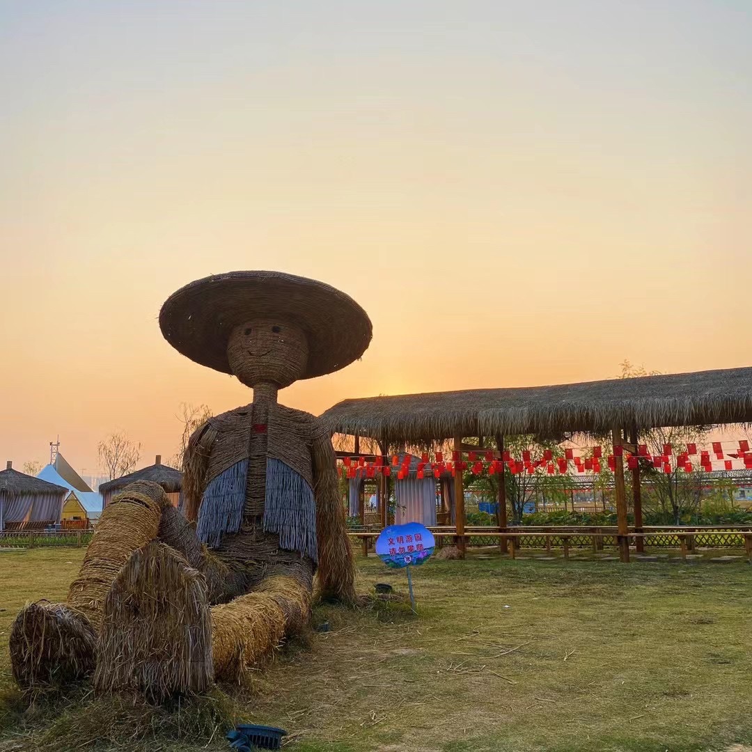 百莲百荷旅行图片 1
