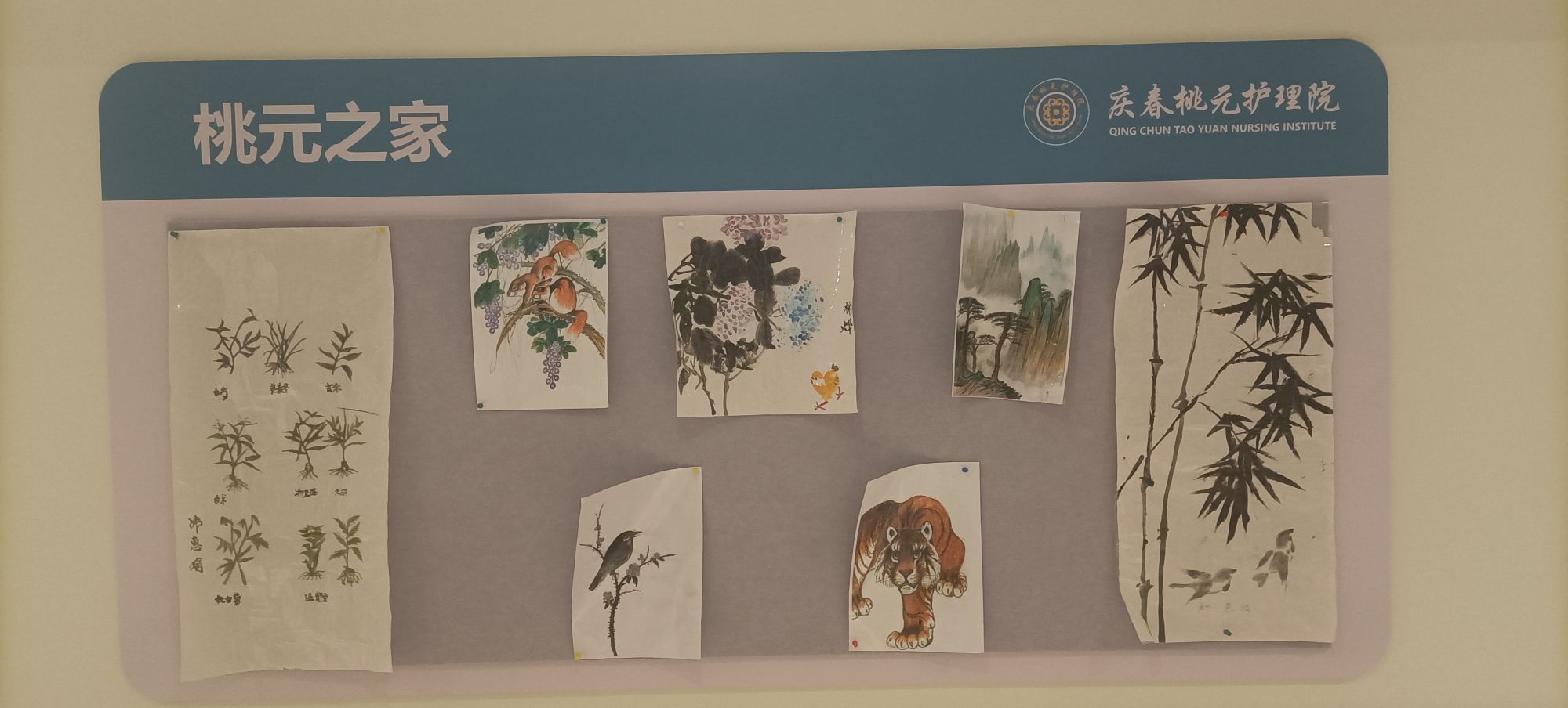 杭州庆春桃元护理院(浙江钱塘良辰健康养老)