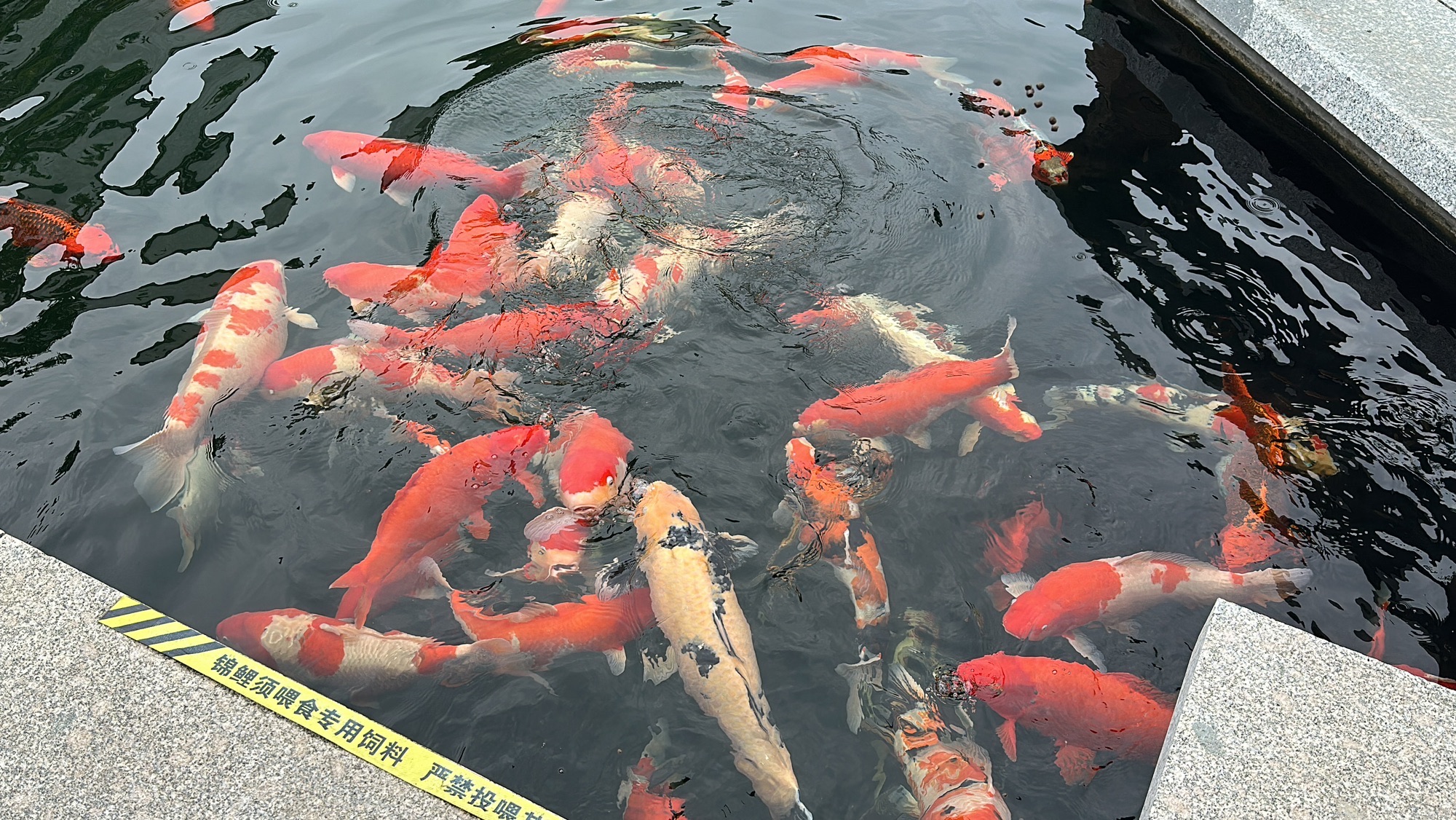 观唐·温水鄉旅行图片 1