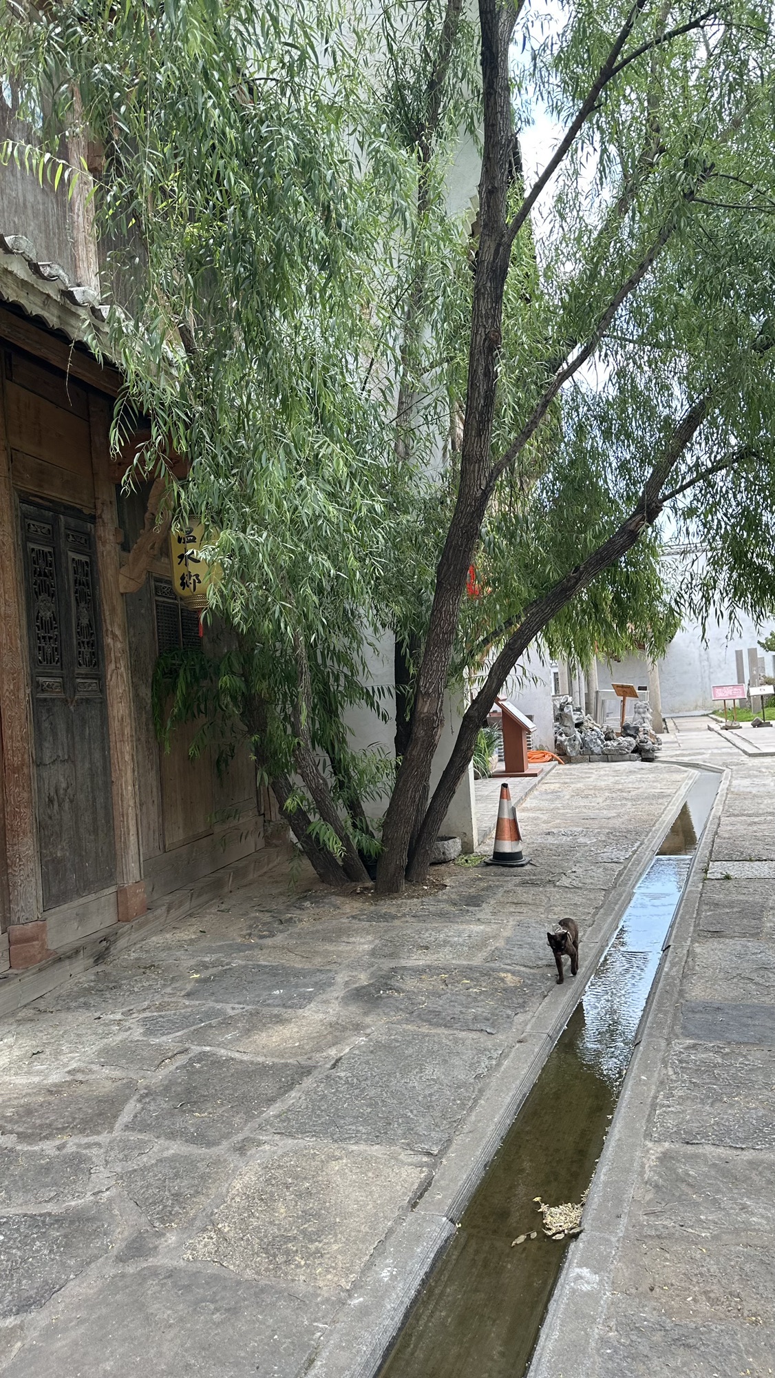 观唐·温水鄉旅行图片 2