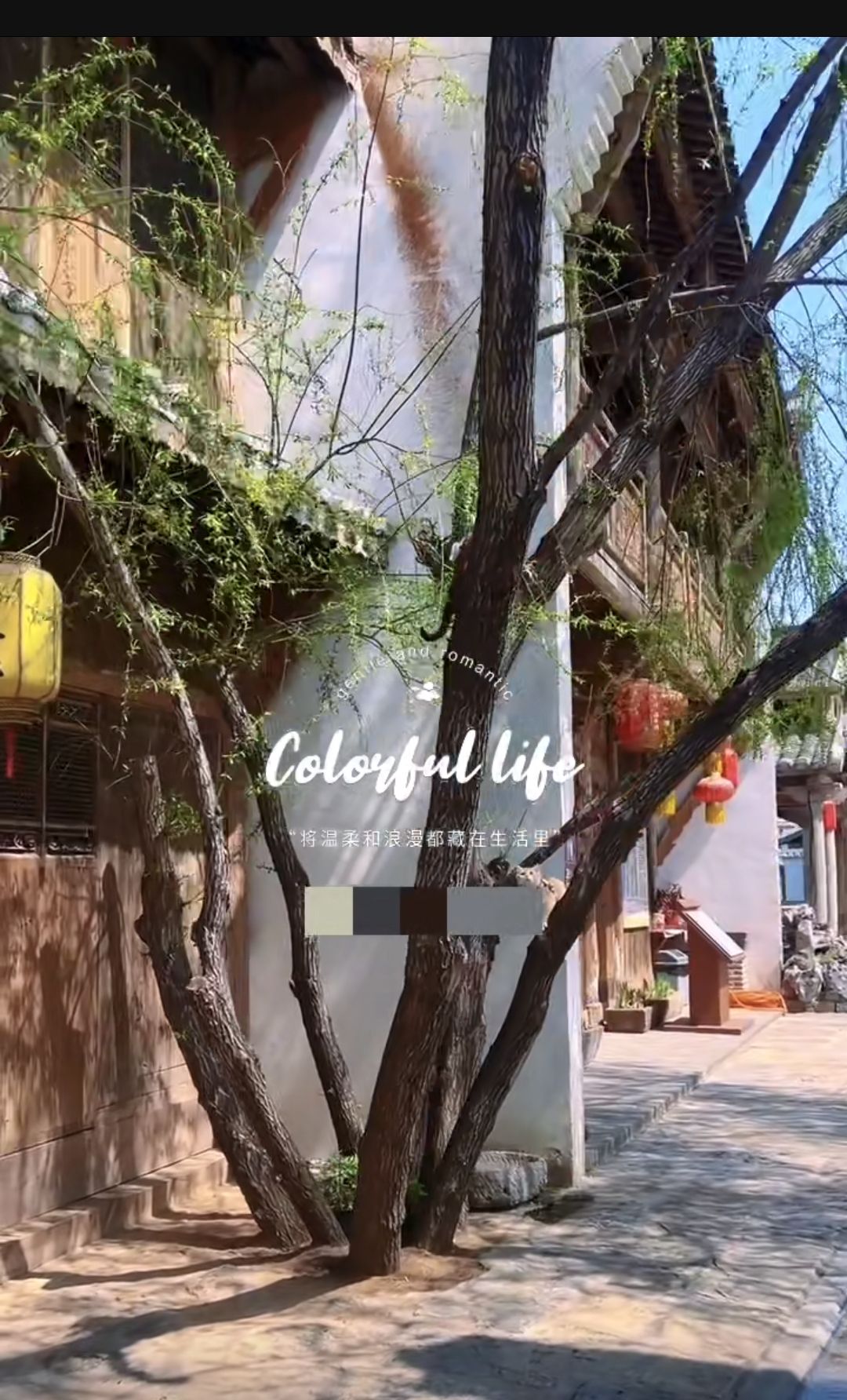 观唐·温水鄉旅行图片 2