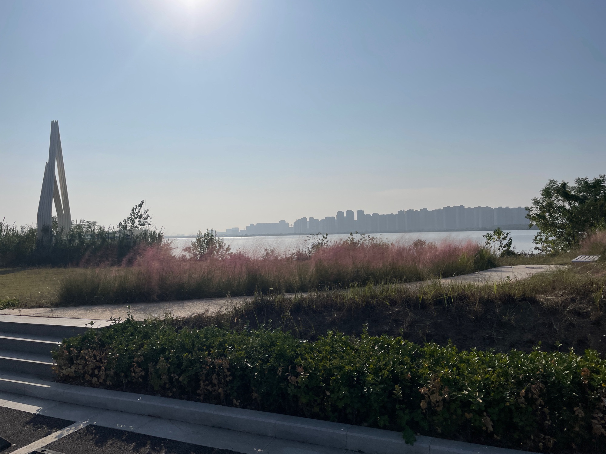 青菱湖湖滨公园旅行图片 1