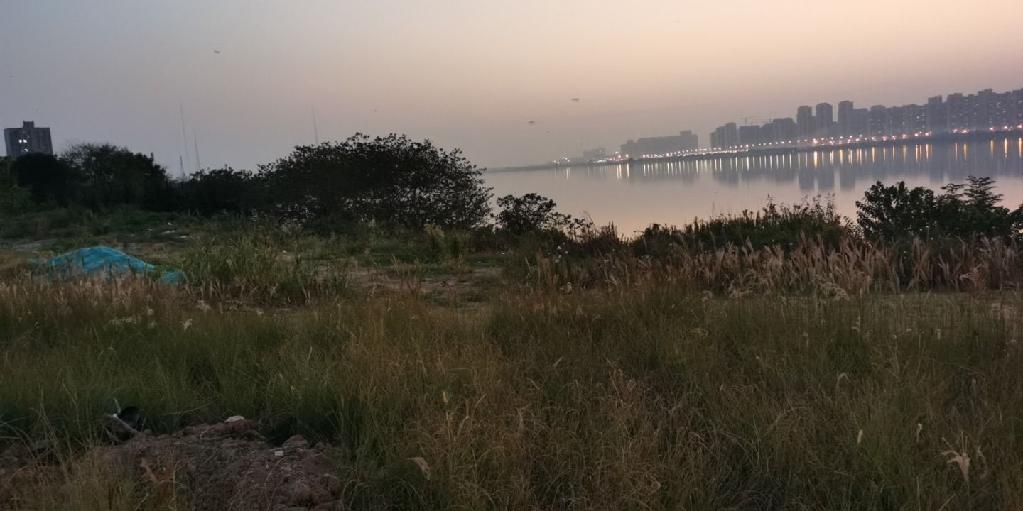 青菱湖湖滨公园旅行图片 2