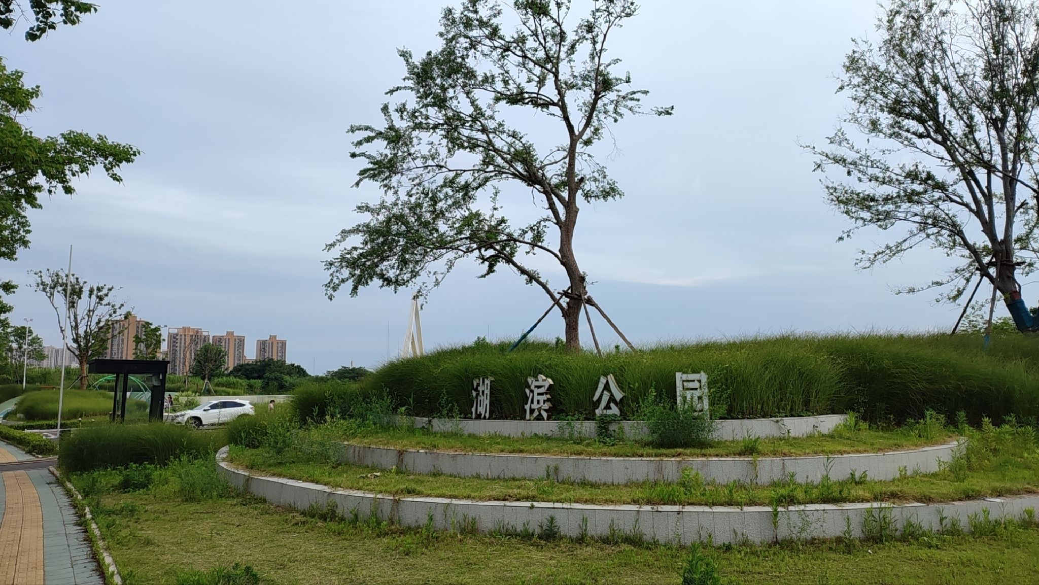 青菱湖湖滨公园旅行图片 1