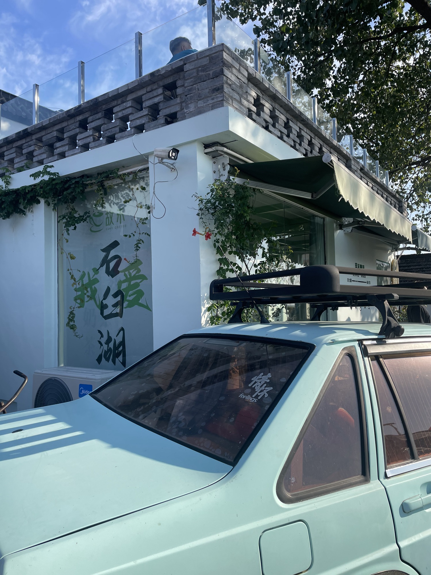 龙猫草海旅行图片 3