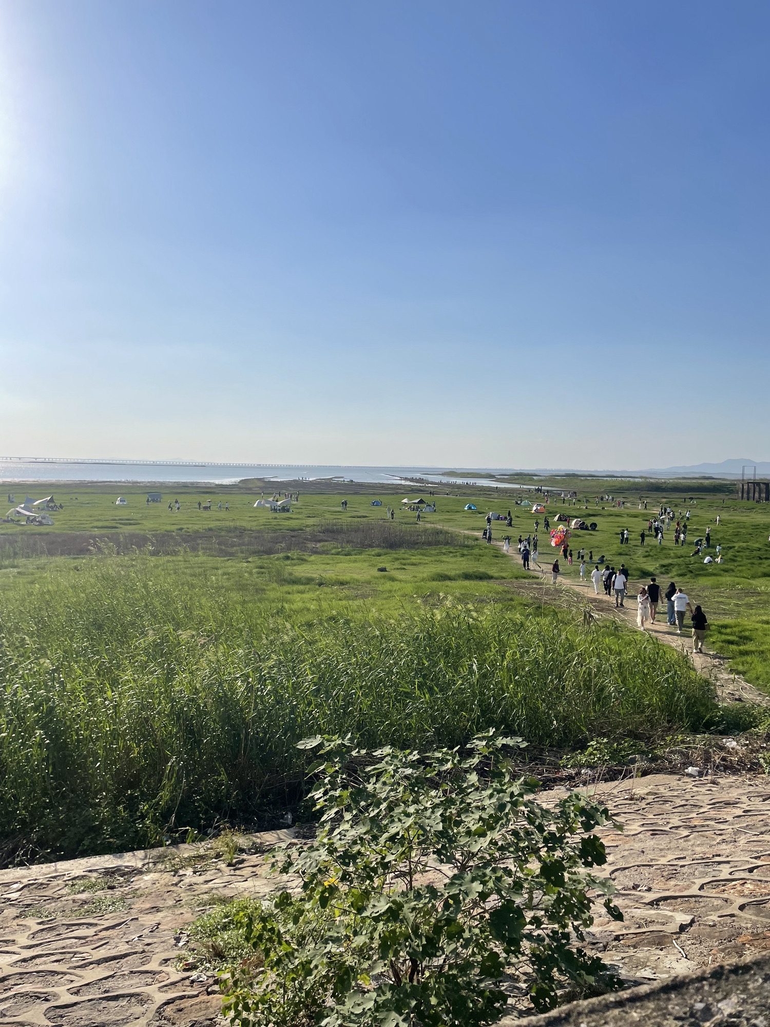 龙猫草海旅行图片 1