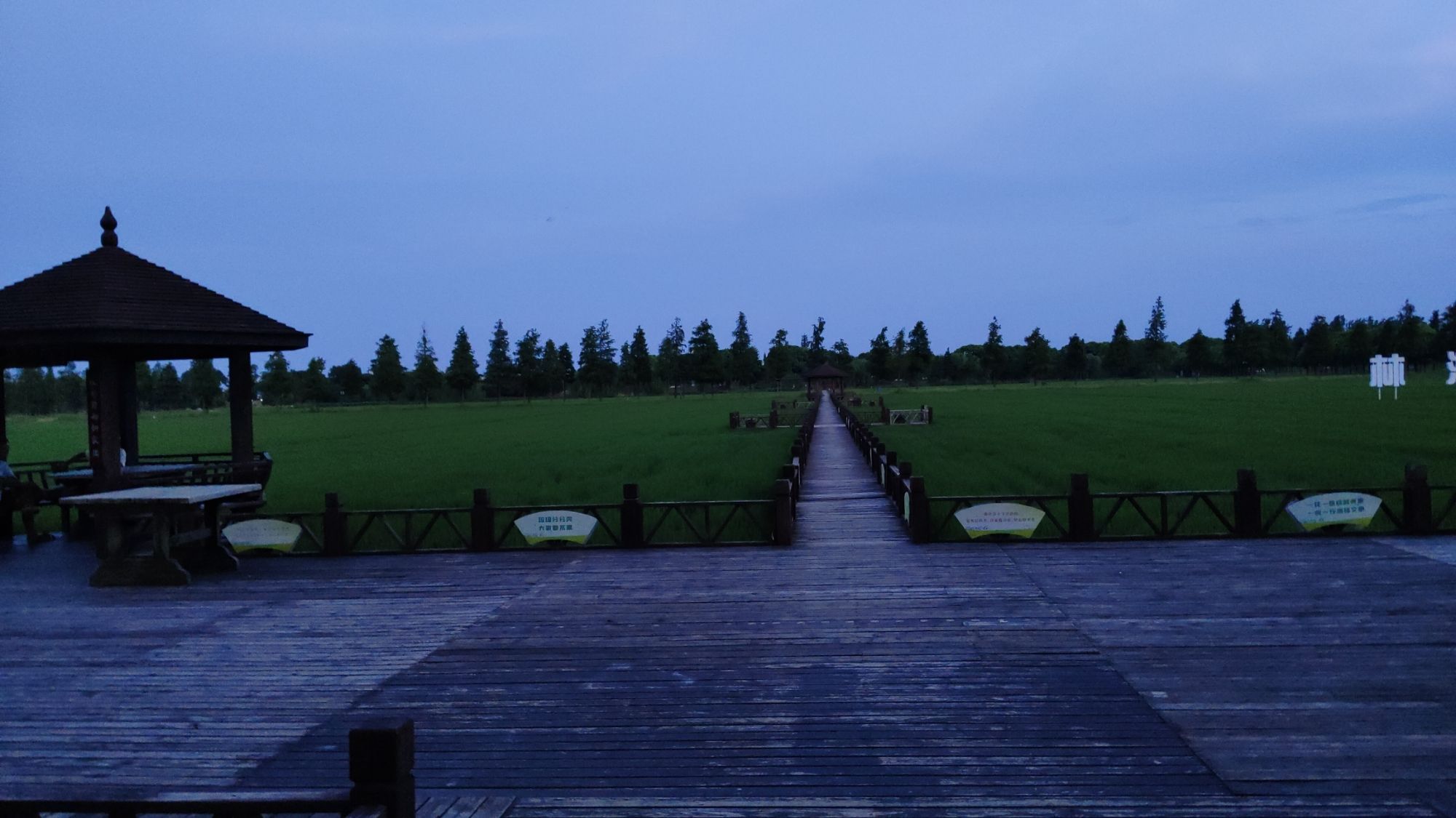 林渡暖村旅行图片 3