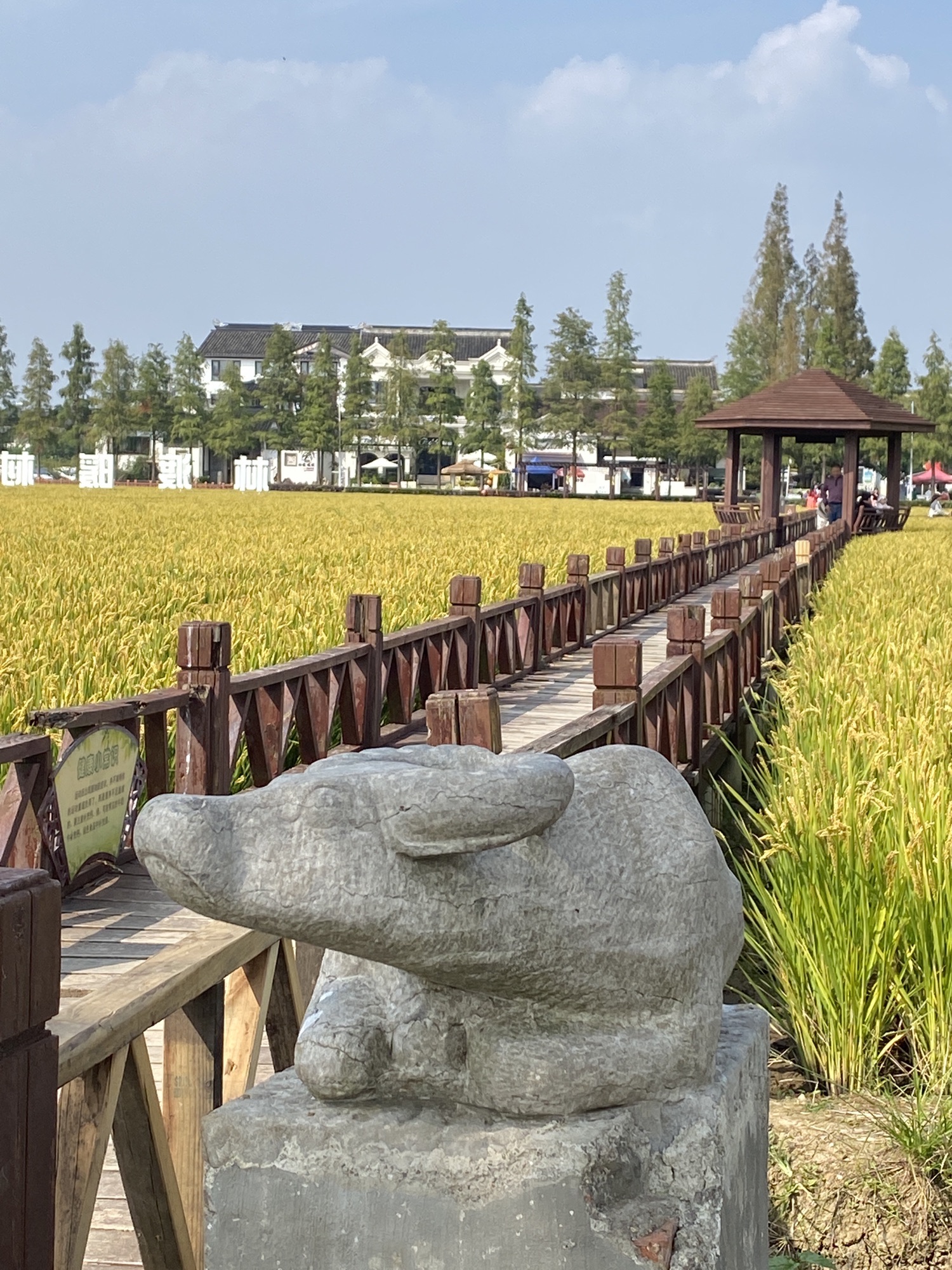 林渡暖村旅行图片 3