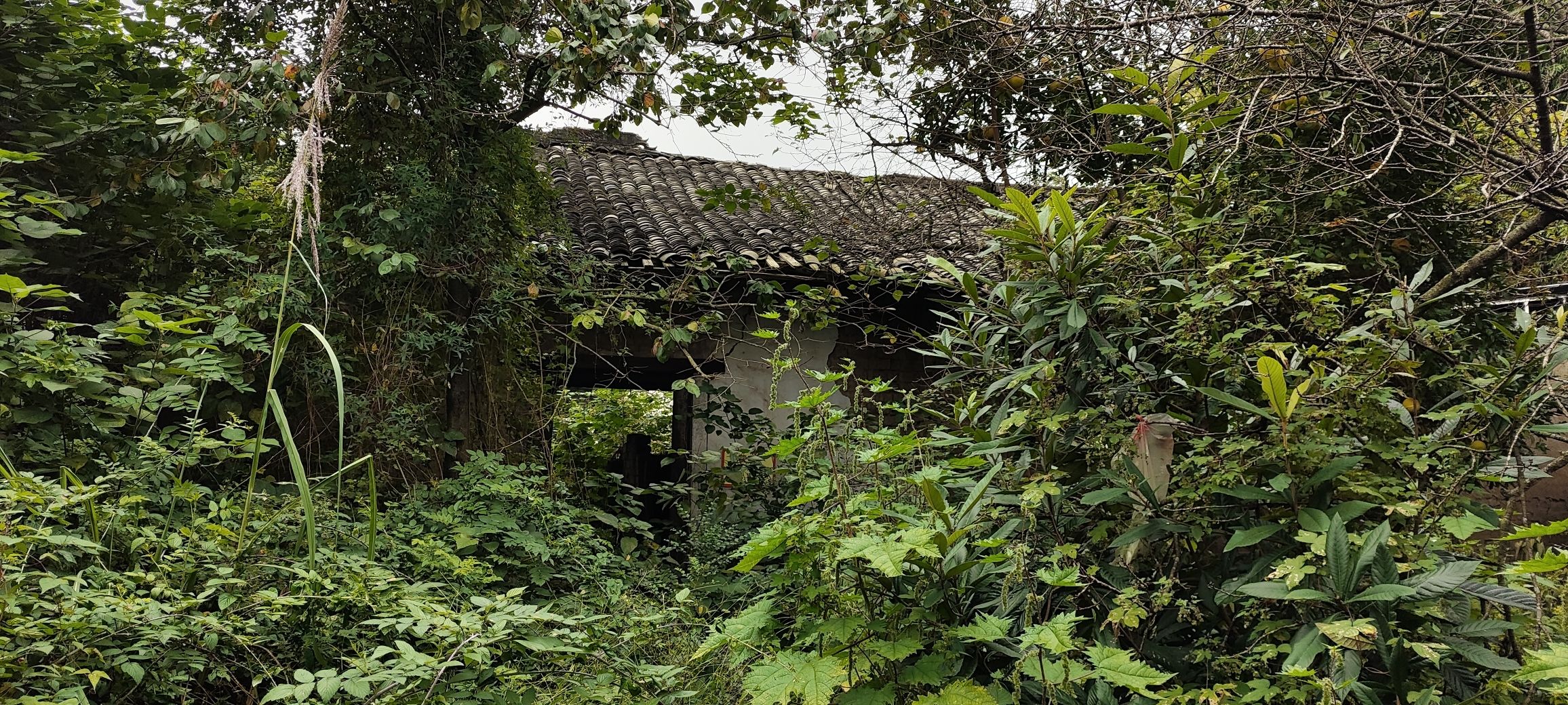 彭家珍大将军故居旅行图片 3