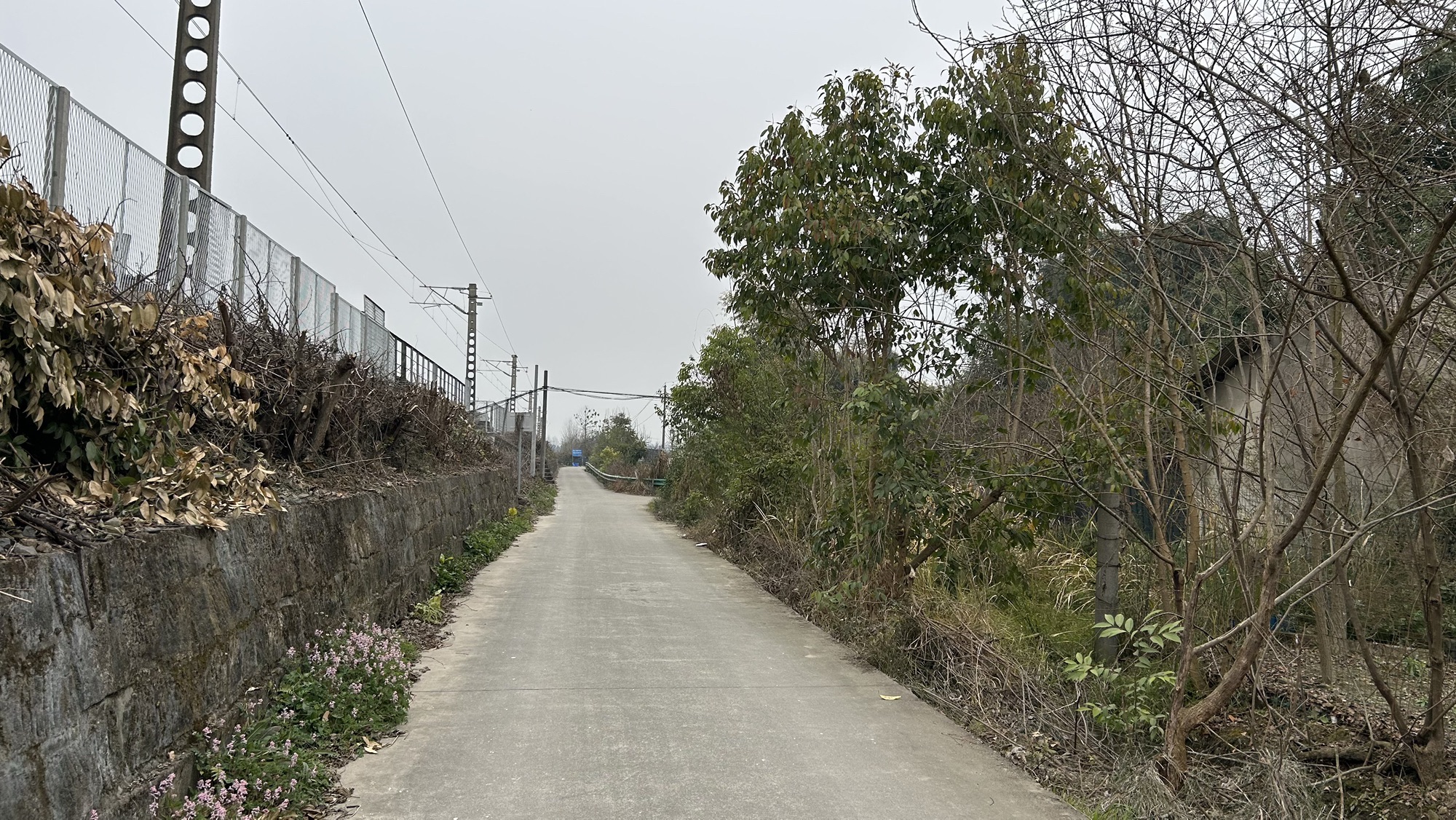彭家珍大将军故居旅行图片 3
