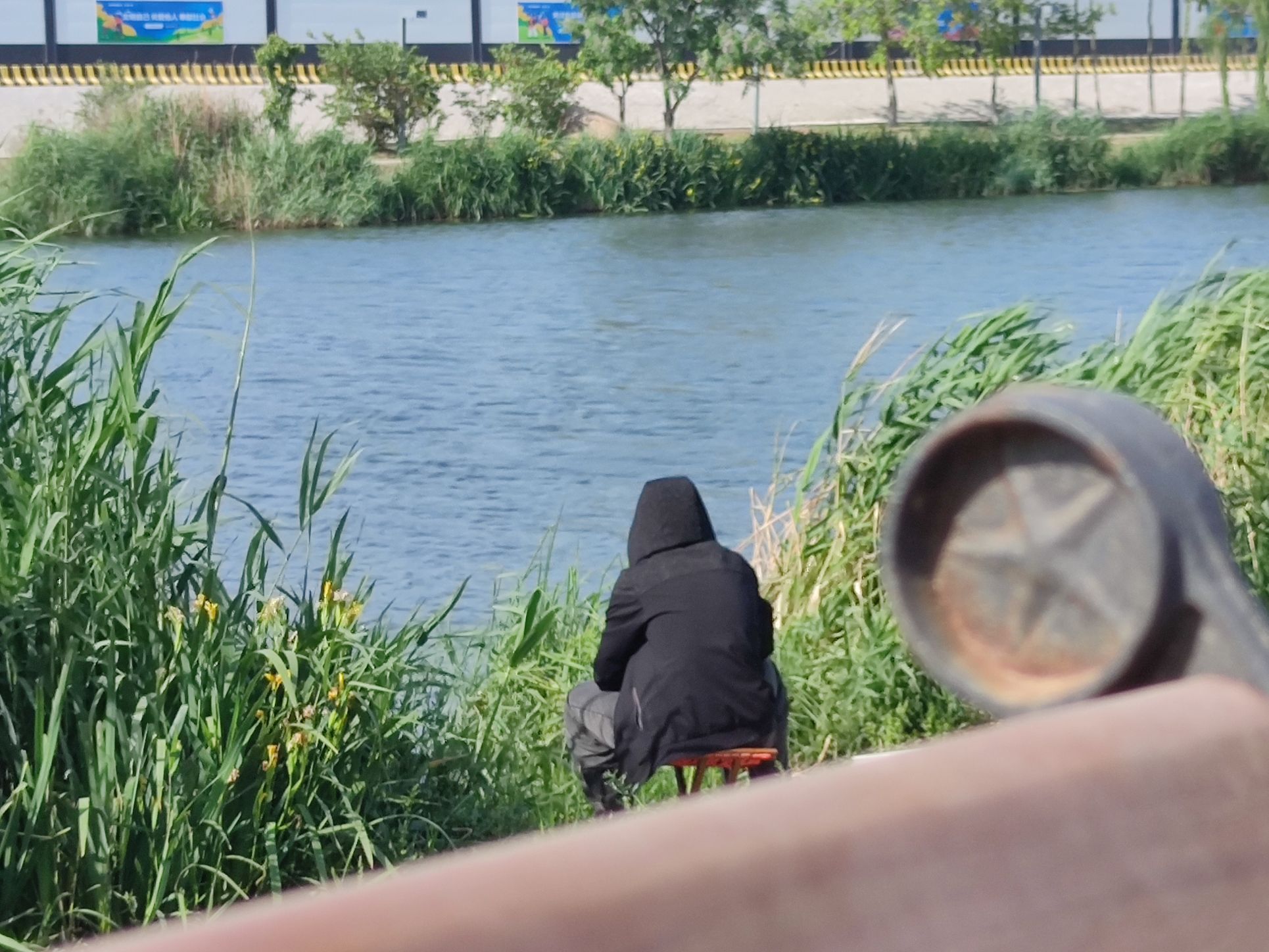 胶州月季花园旅行图片 3