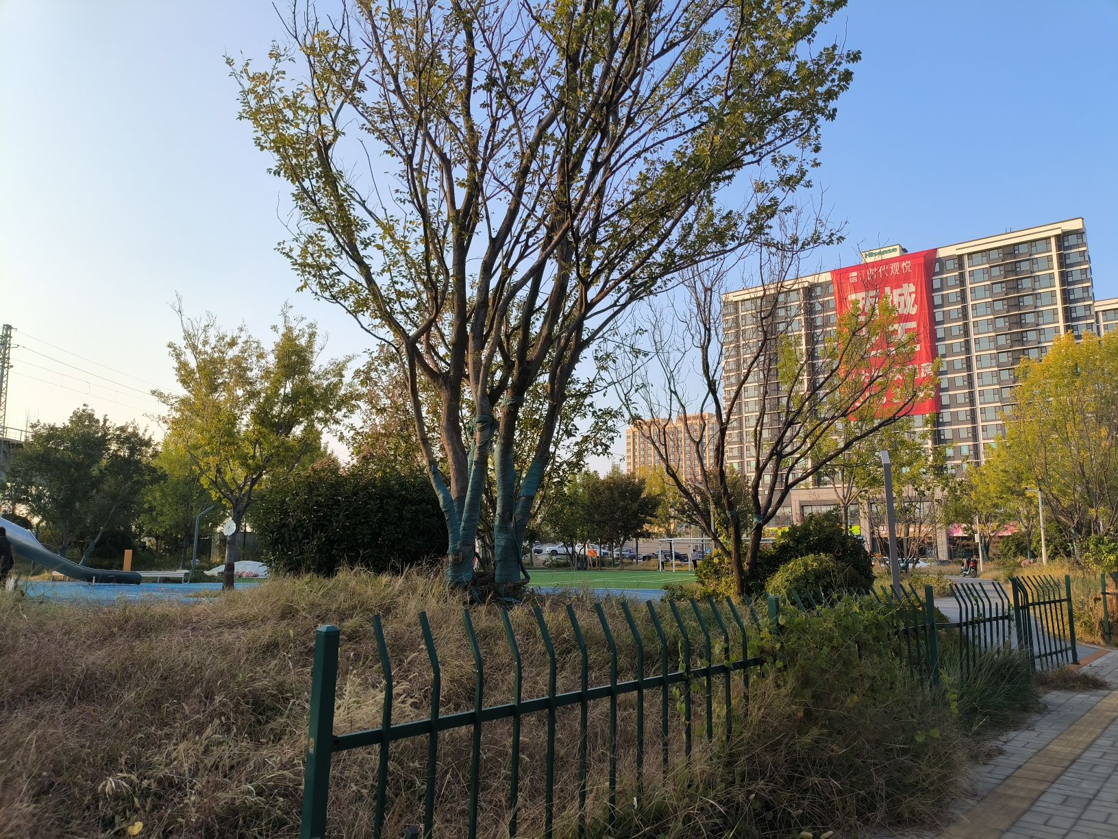 海信公园旅行图片 3