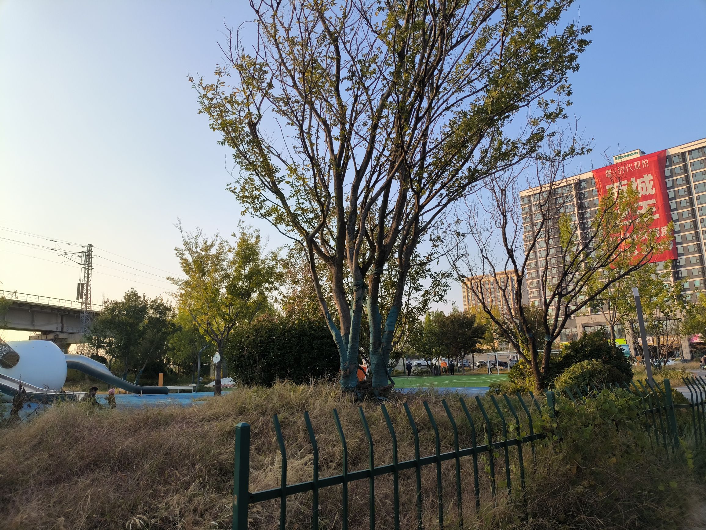海信公园旅行图片 2