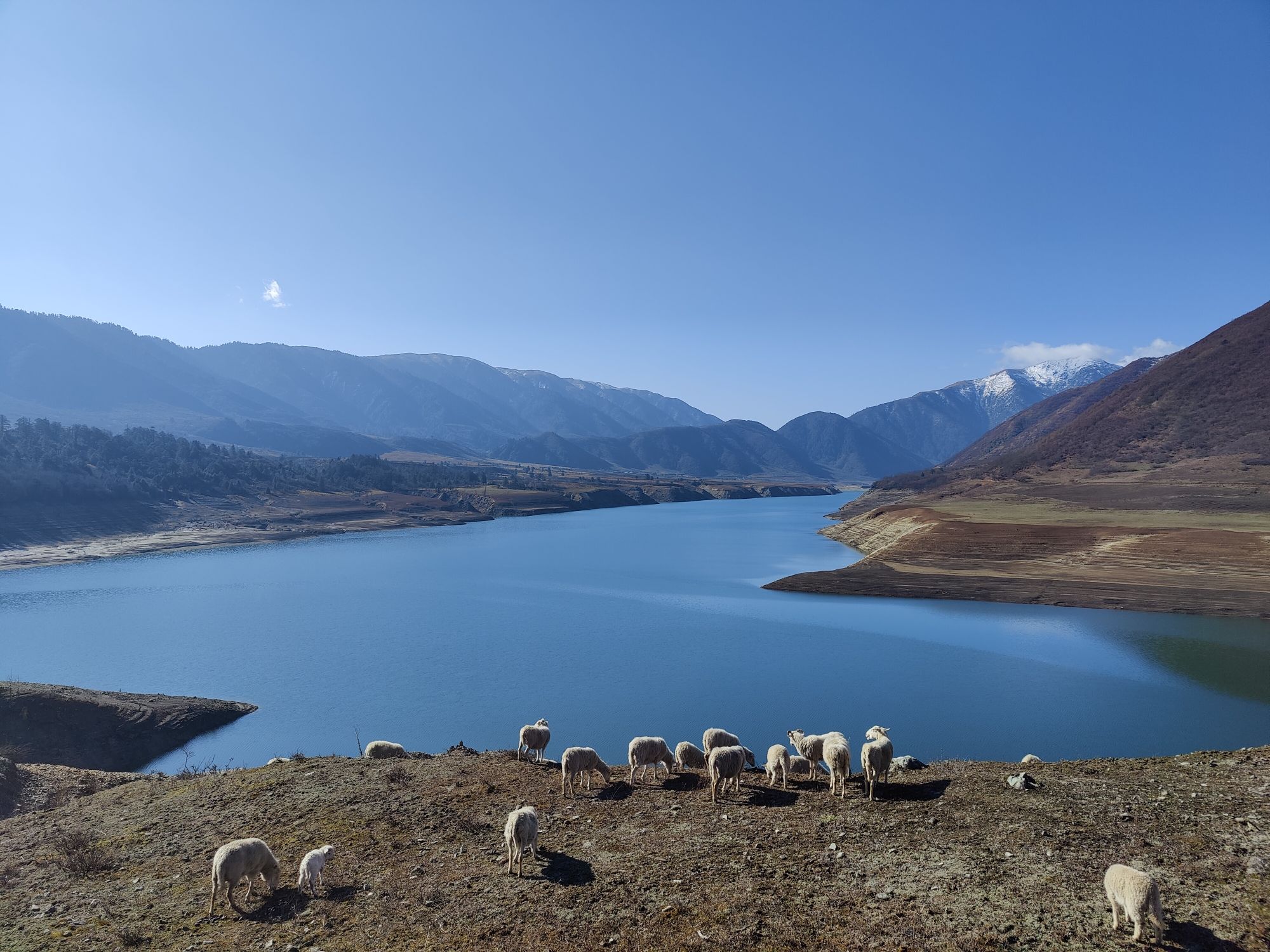 冶勒湖观景台