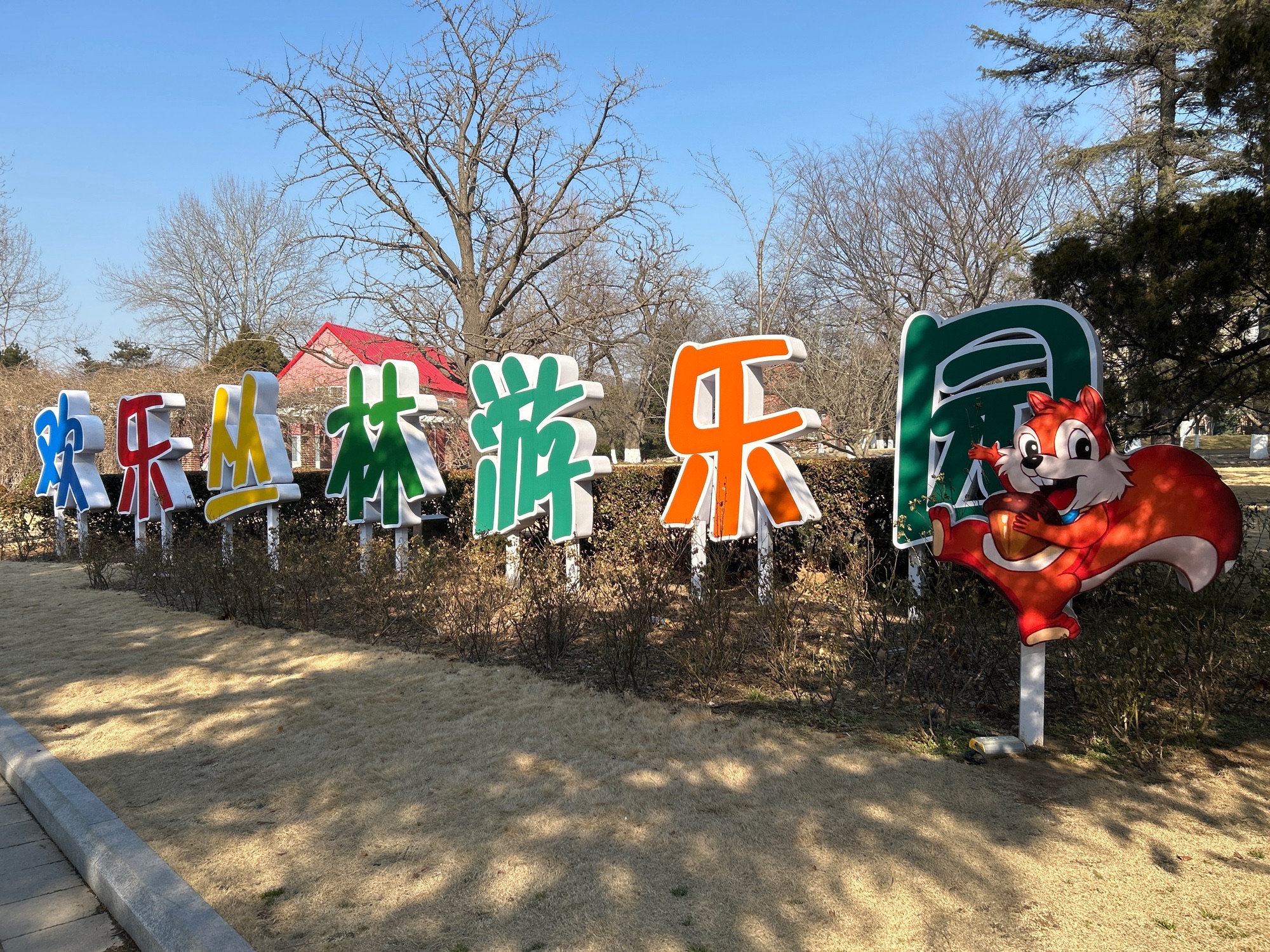 青岛中山公园欢乐丛林游乐园
