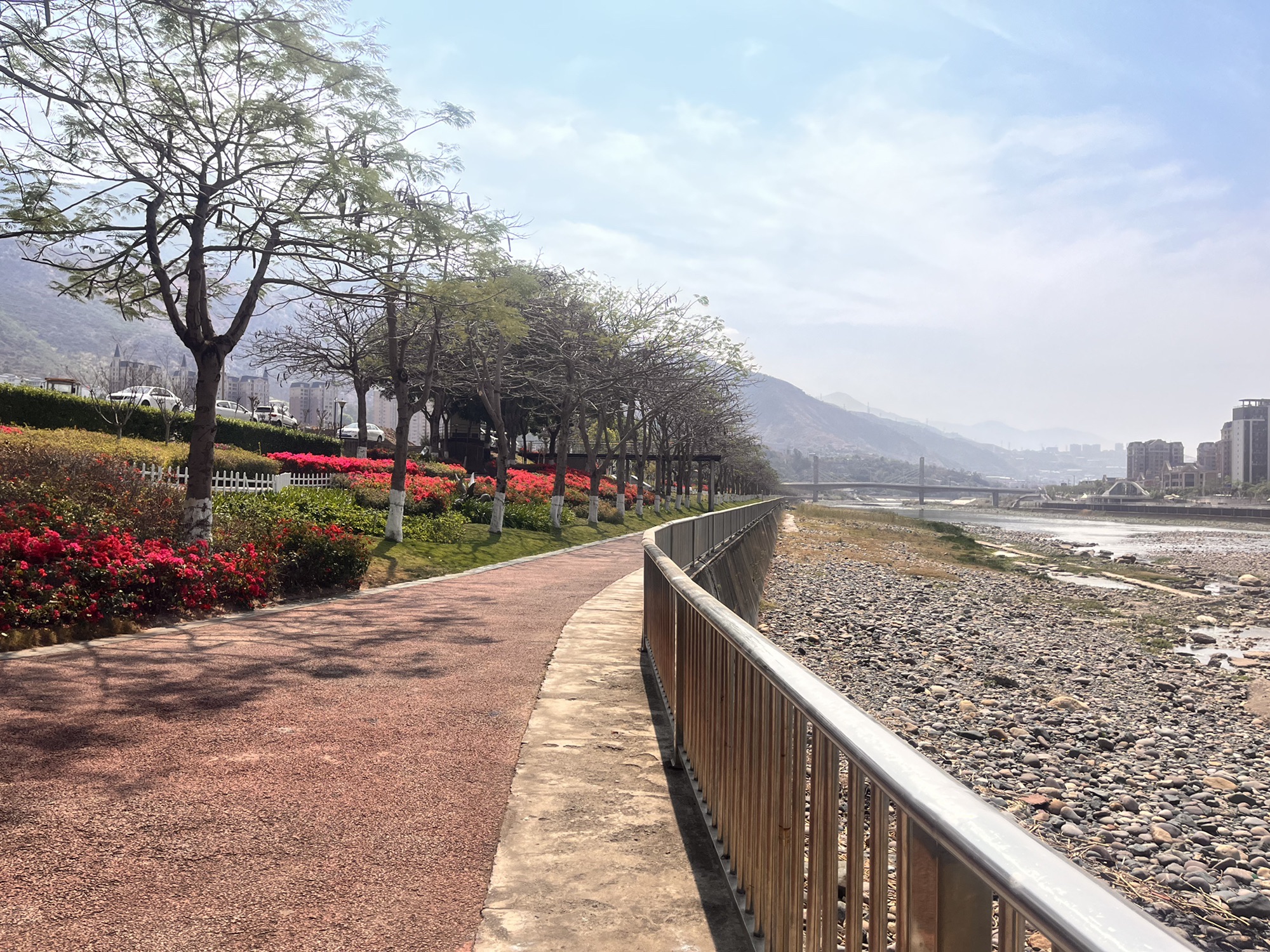 凤飞公园