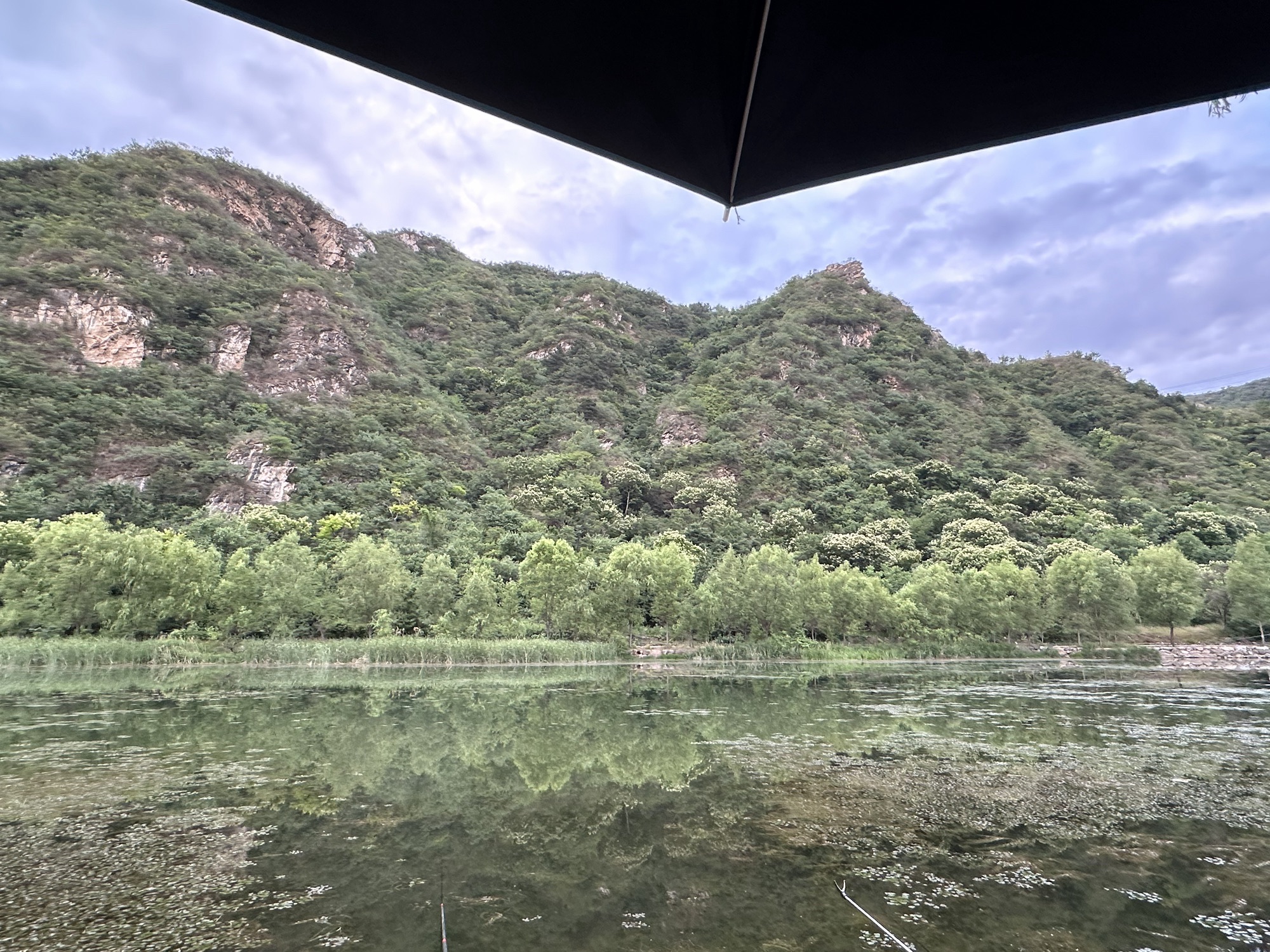 场地封面-安缦露营