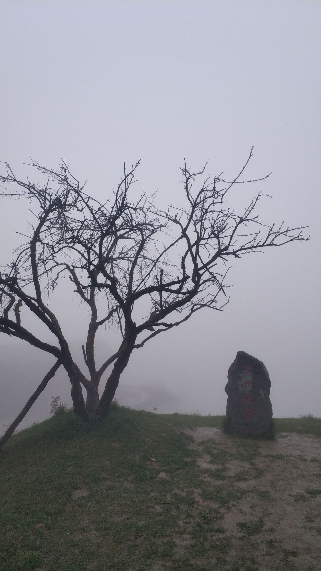 观云阁旅行图片 1