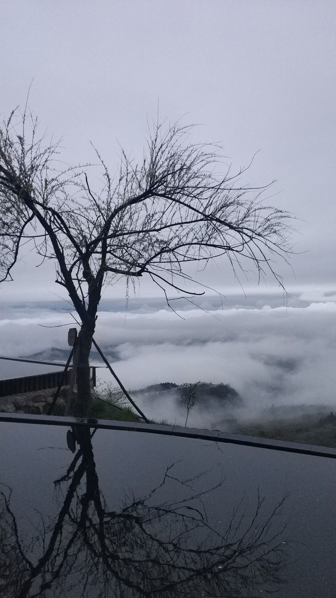 观云阁旅行图片 2