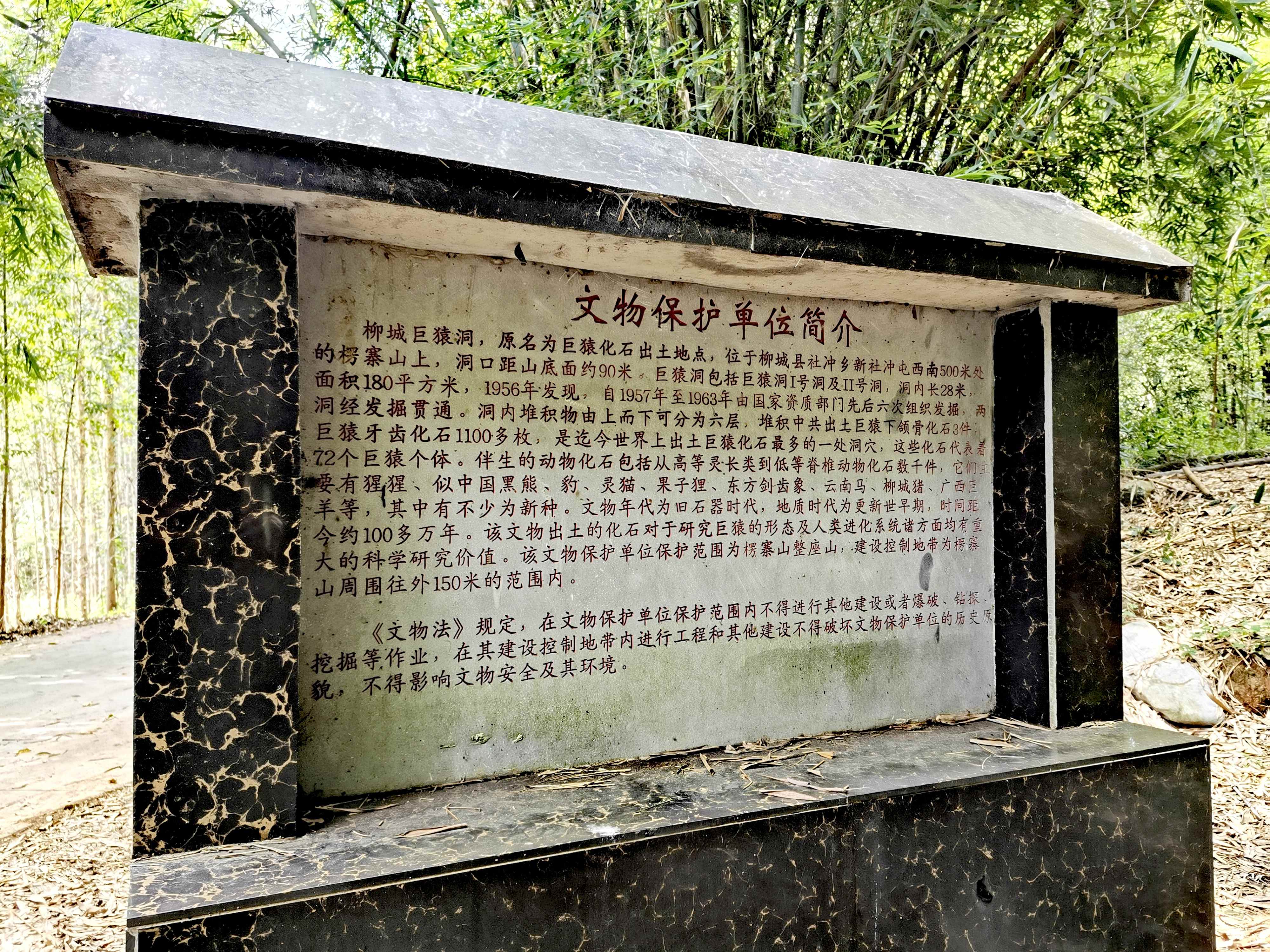 柳城巨猿洞旅行图片 3