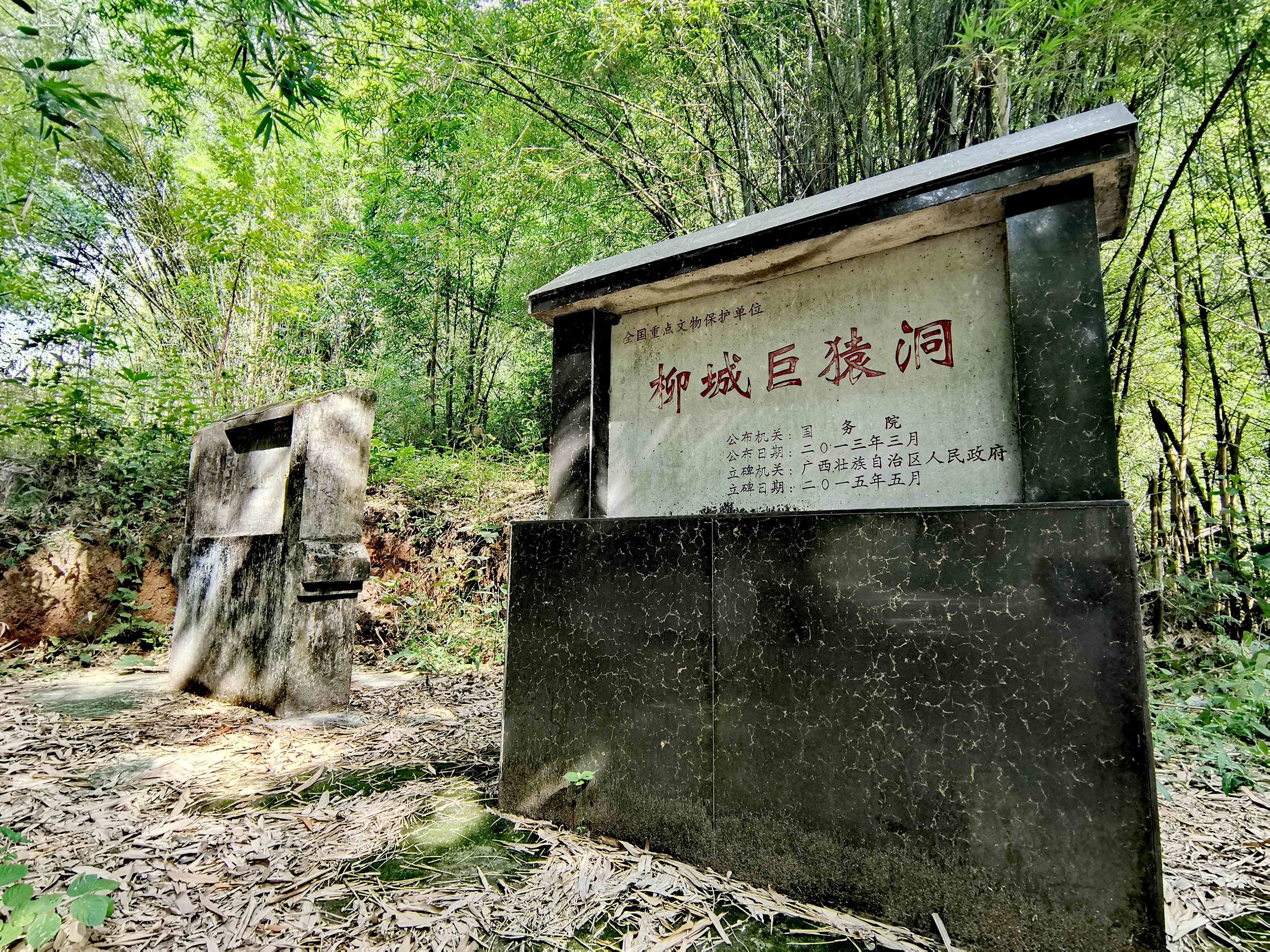 柳城巨猿洞旅行图片 1