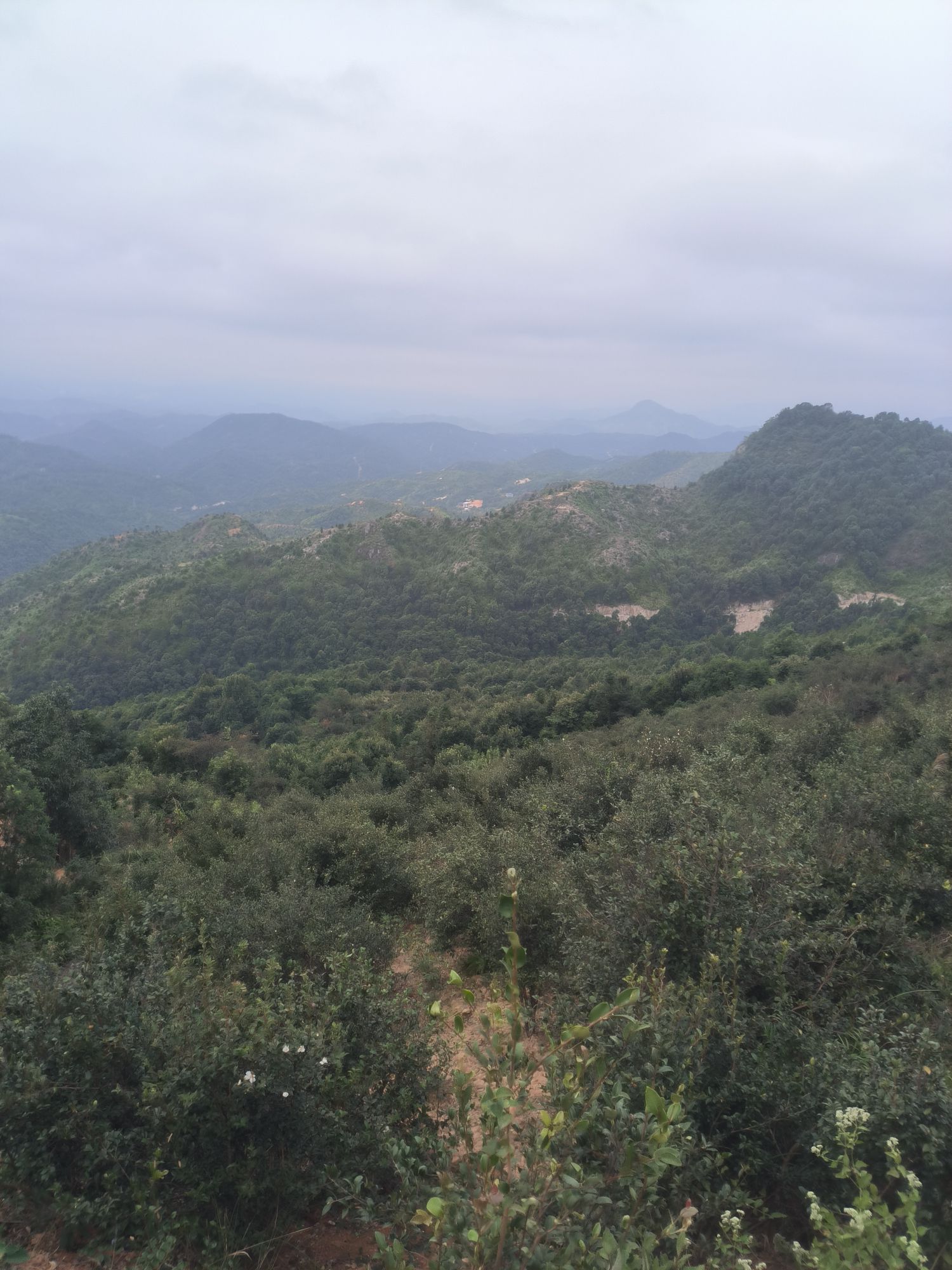 贝墩树华仙人嶂风景区旅行图片 1