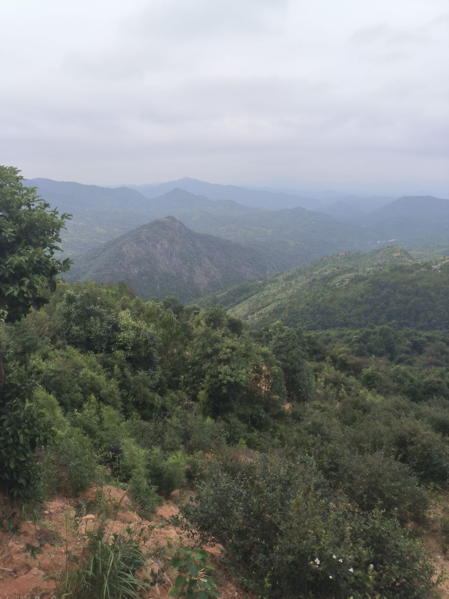 贝墩树华仙人嶂风景区旅行图片 2