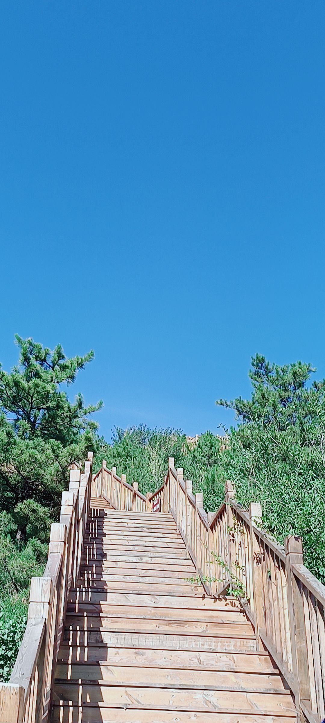 玉龙川旅游区旅行图片 3