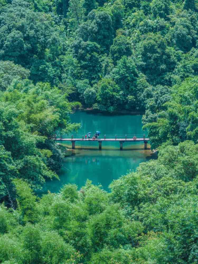蝴蝶谷景区