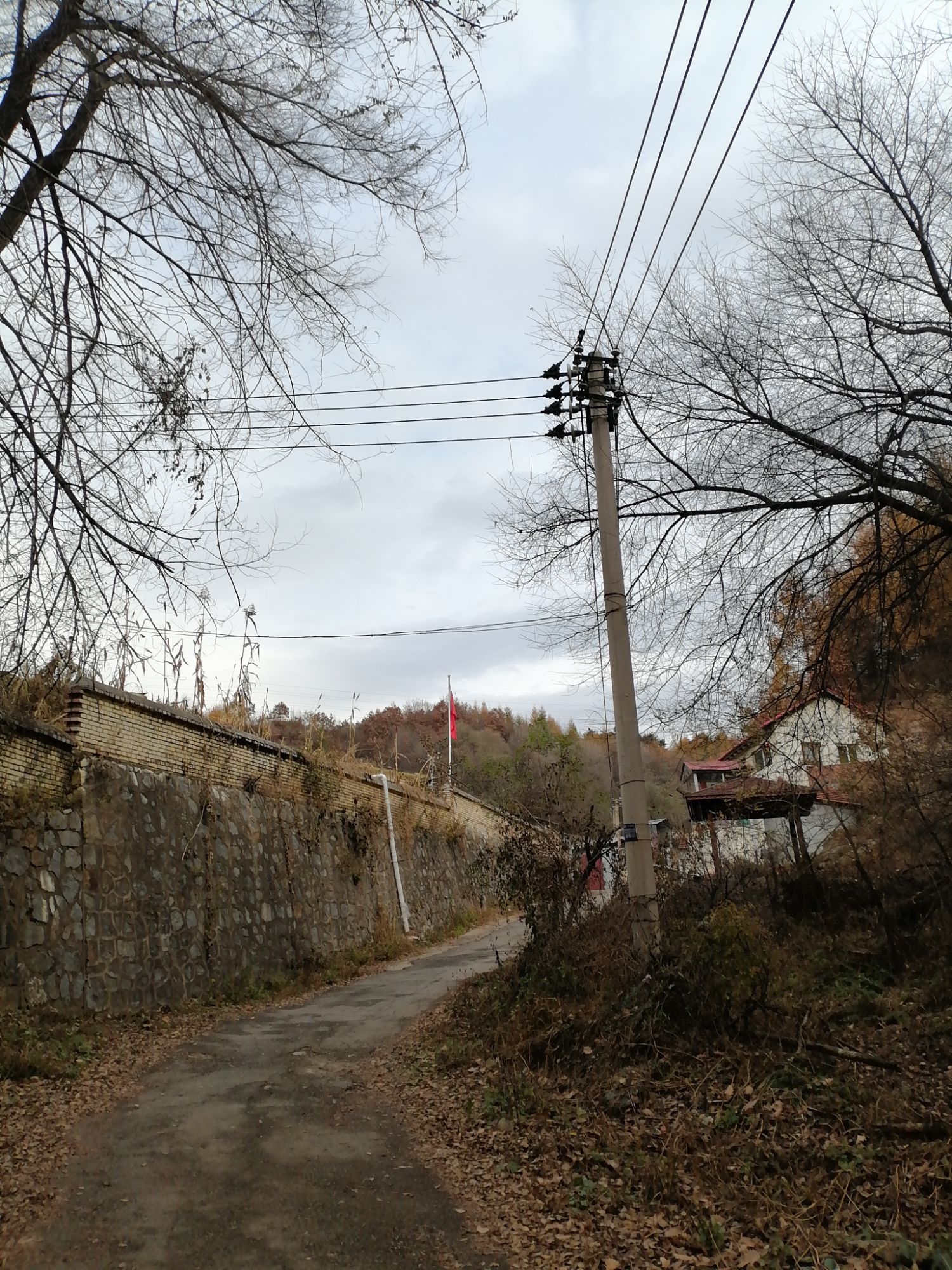 红透山念佛堂旅行图片 1