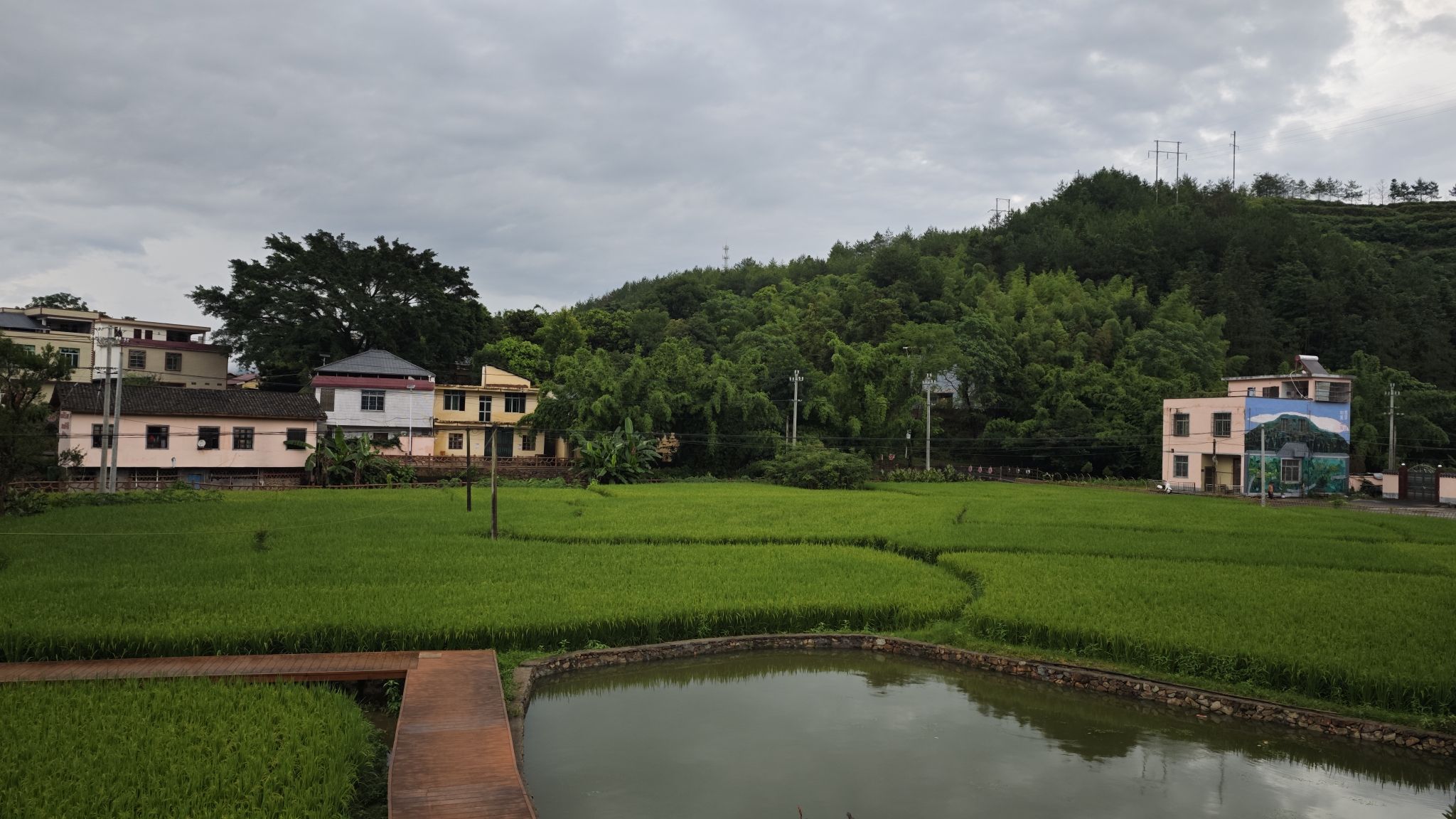 紫参小镇旅行图片 1