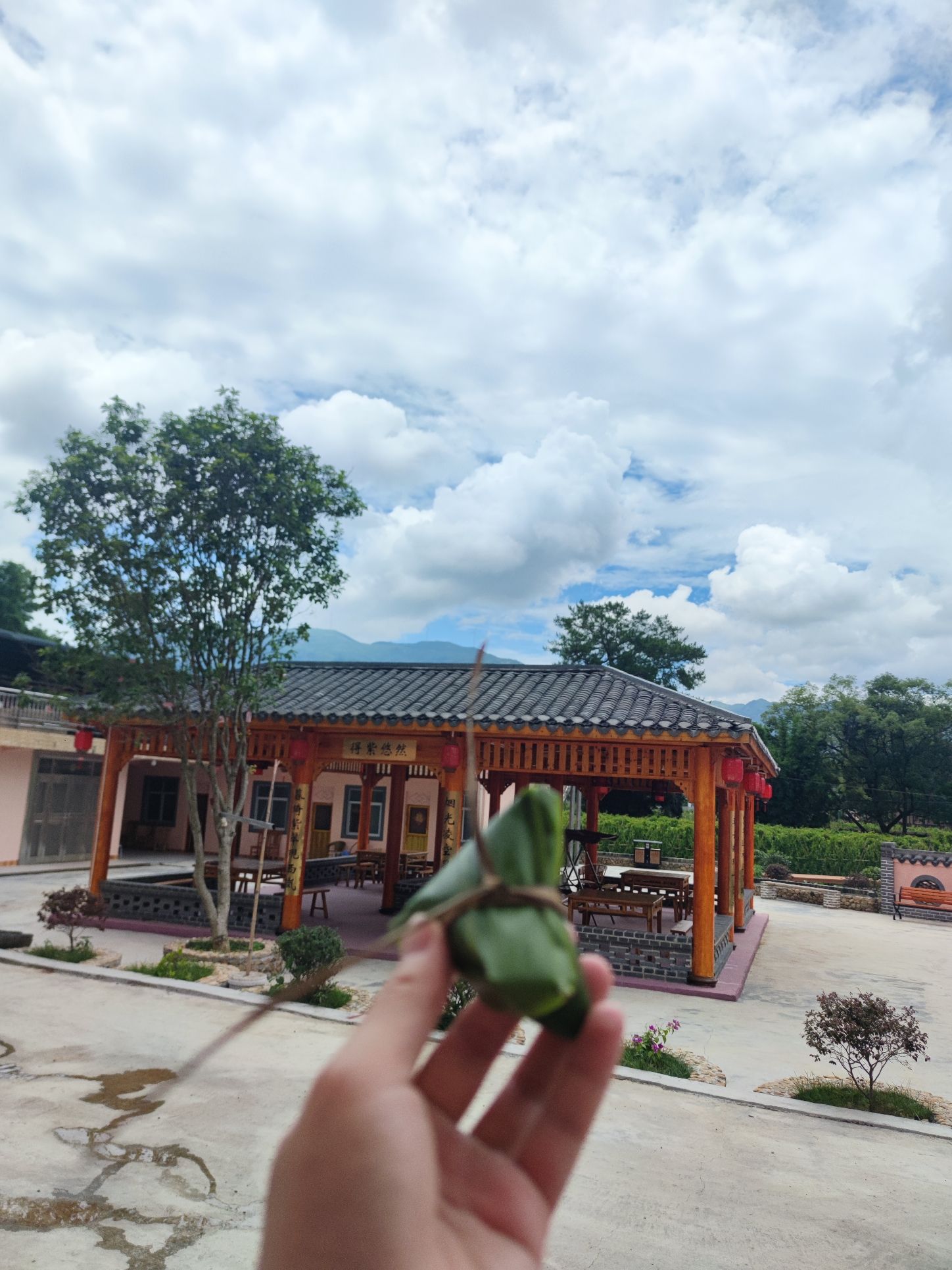 紫参小镇旅行图片 3