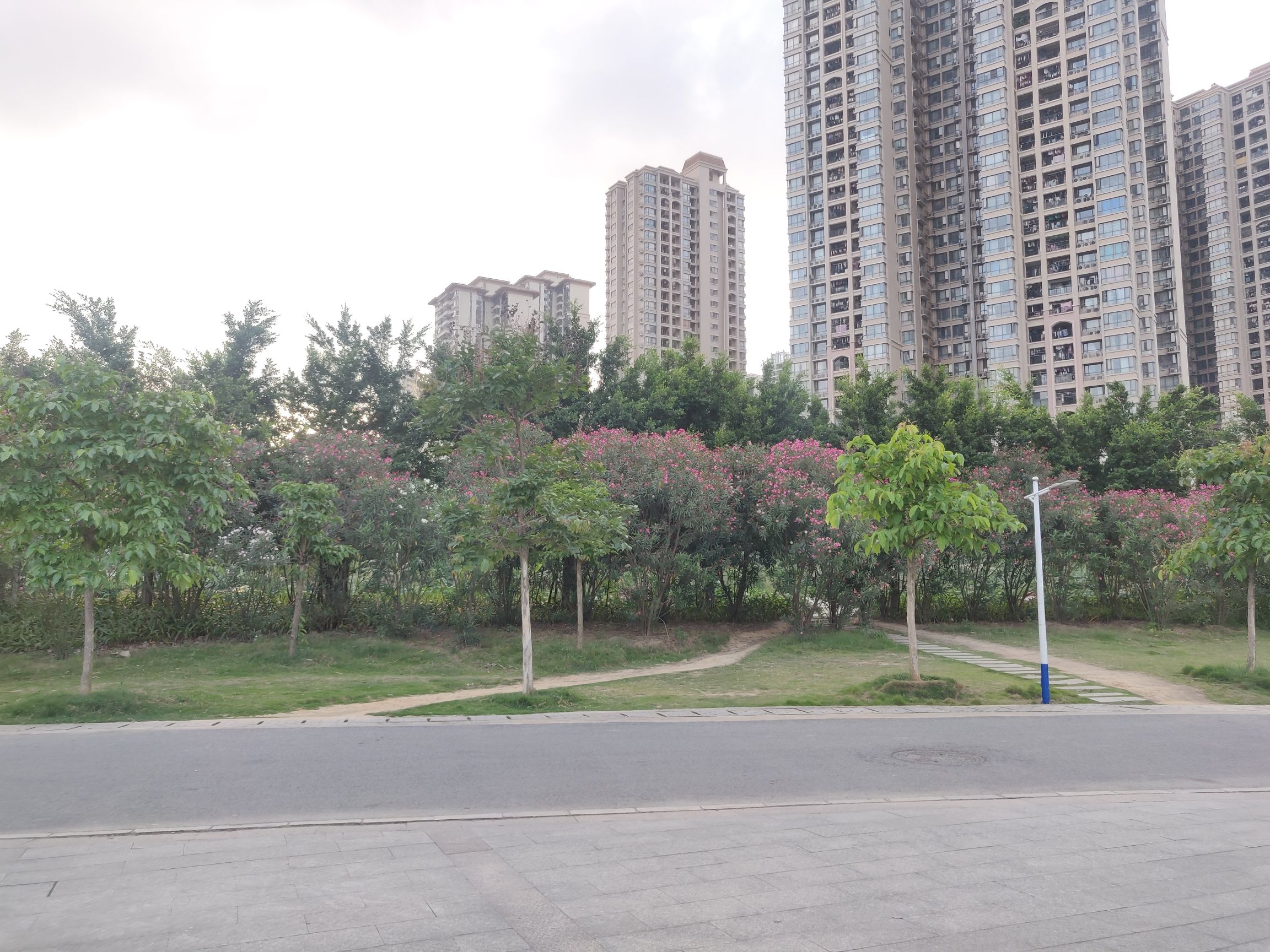 沙江河湿地公园旅行图片 2