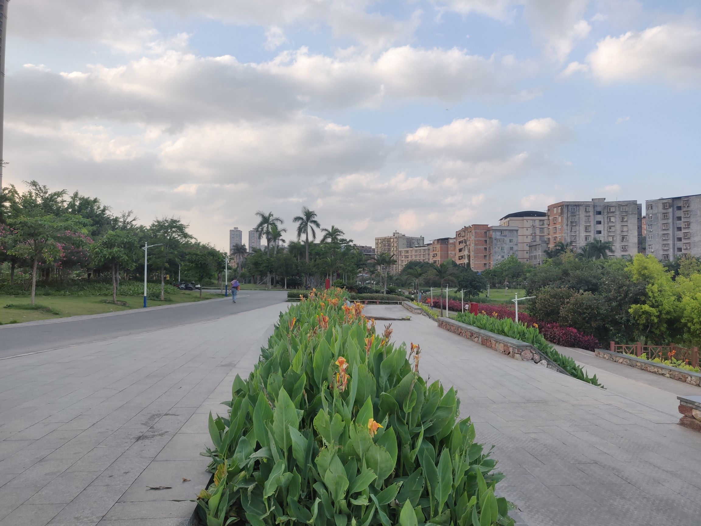 沙江河湿地公园旅行图片 3