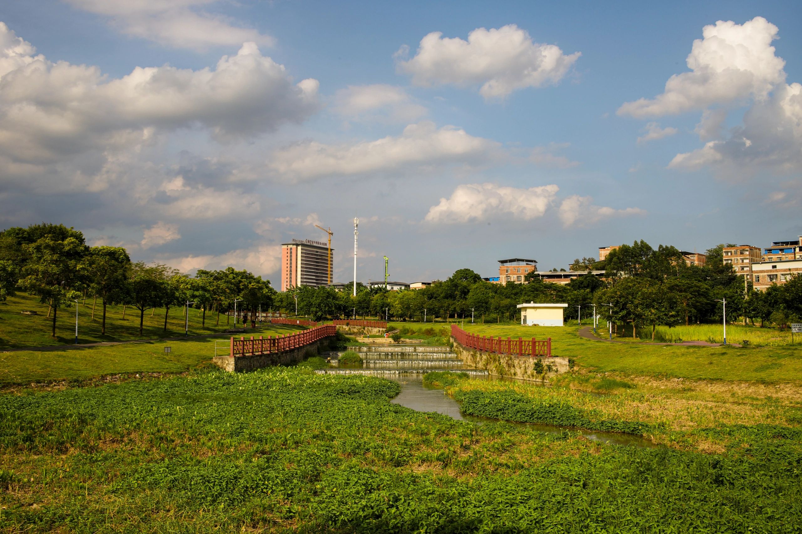 沙江河湿地公园旅行图片 1