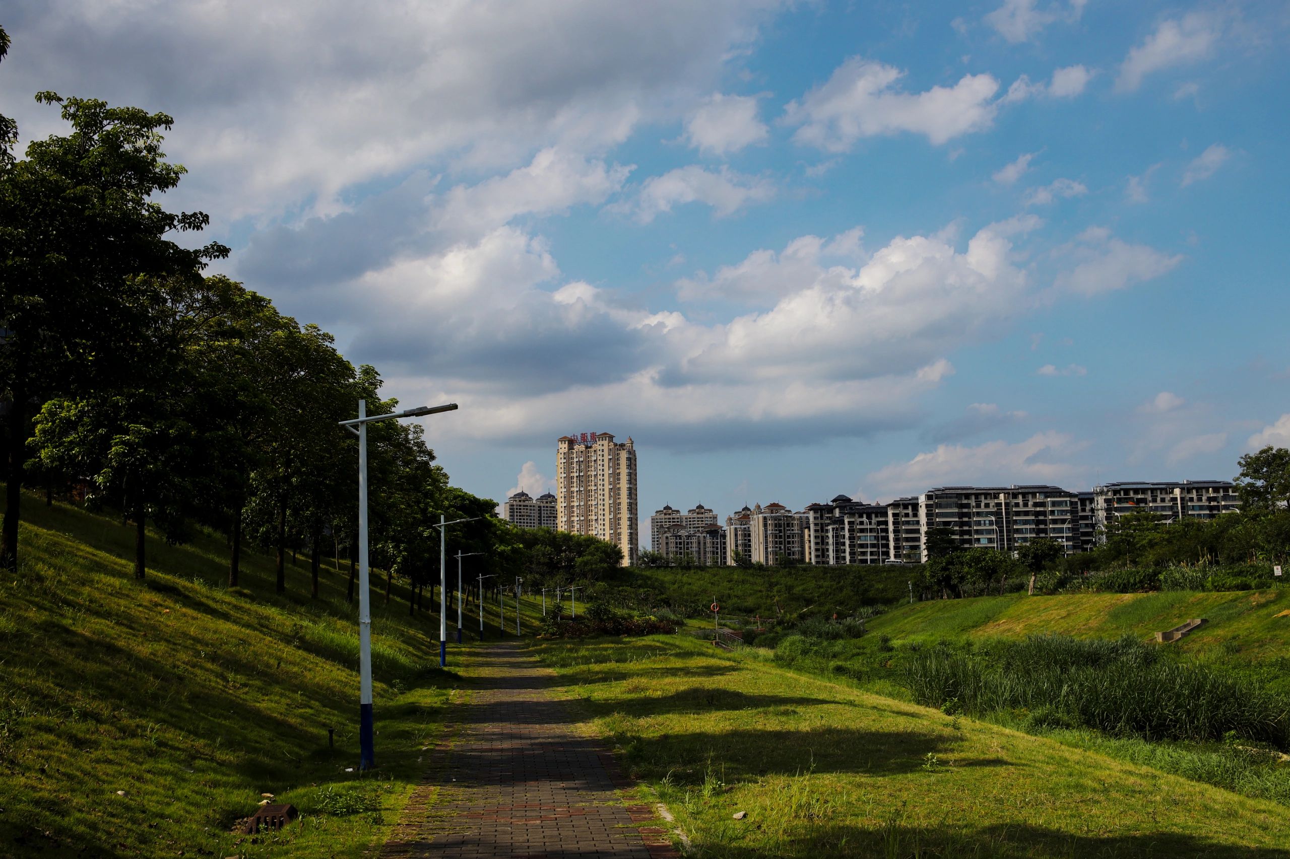 沙江河湿地公园旅行图片 3