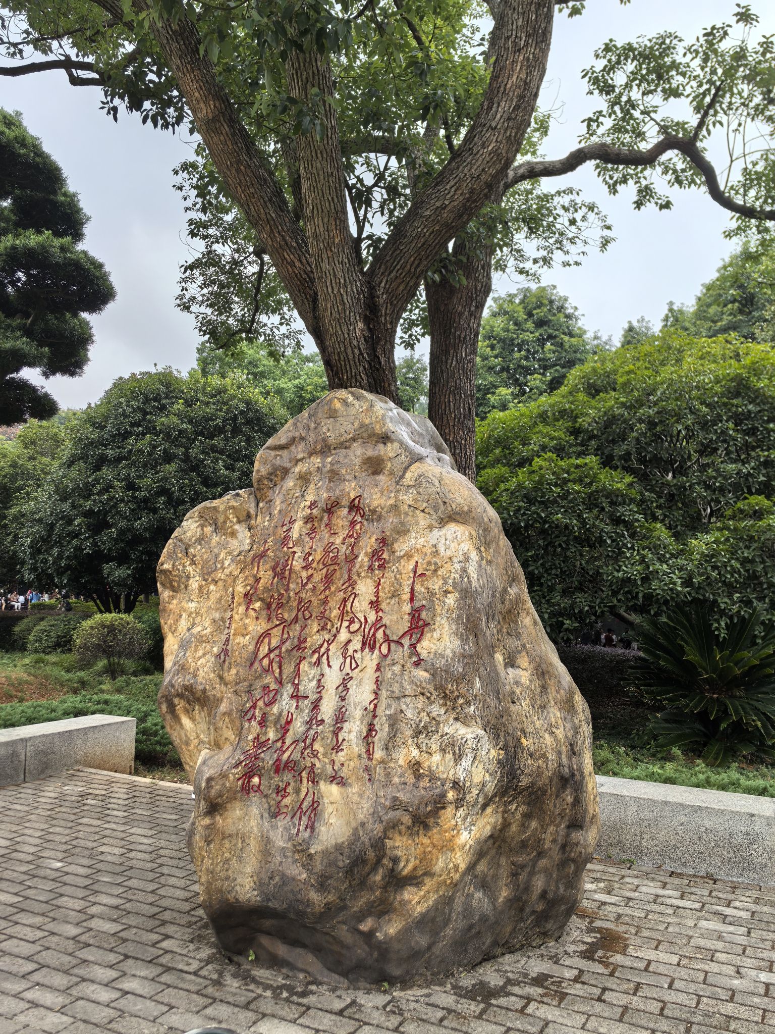 最忆韶山冲红五星广场旅行图片 1