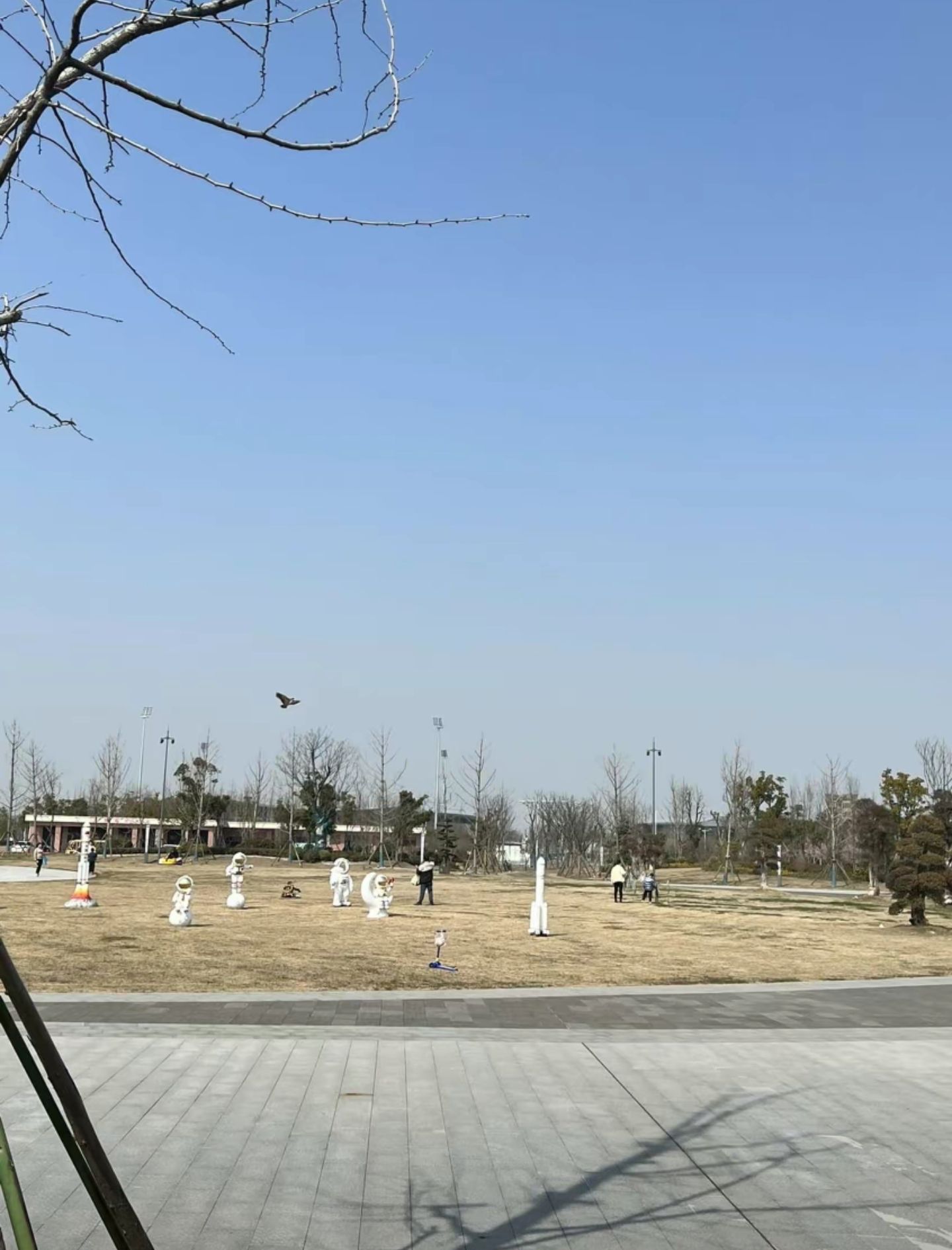 謇公湖生态公园旅行图片 3