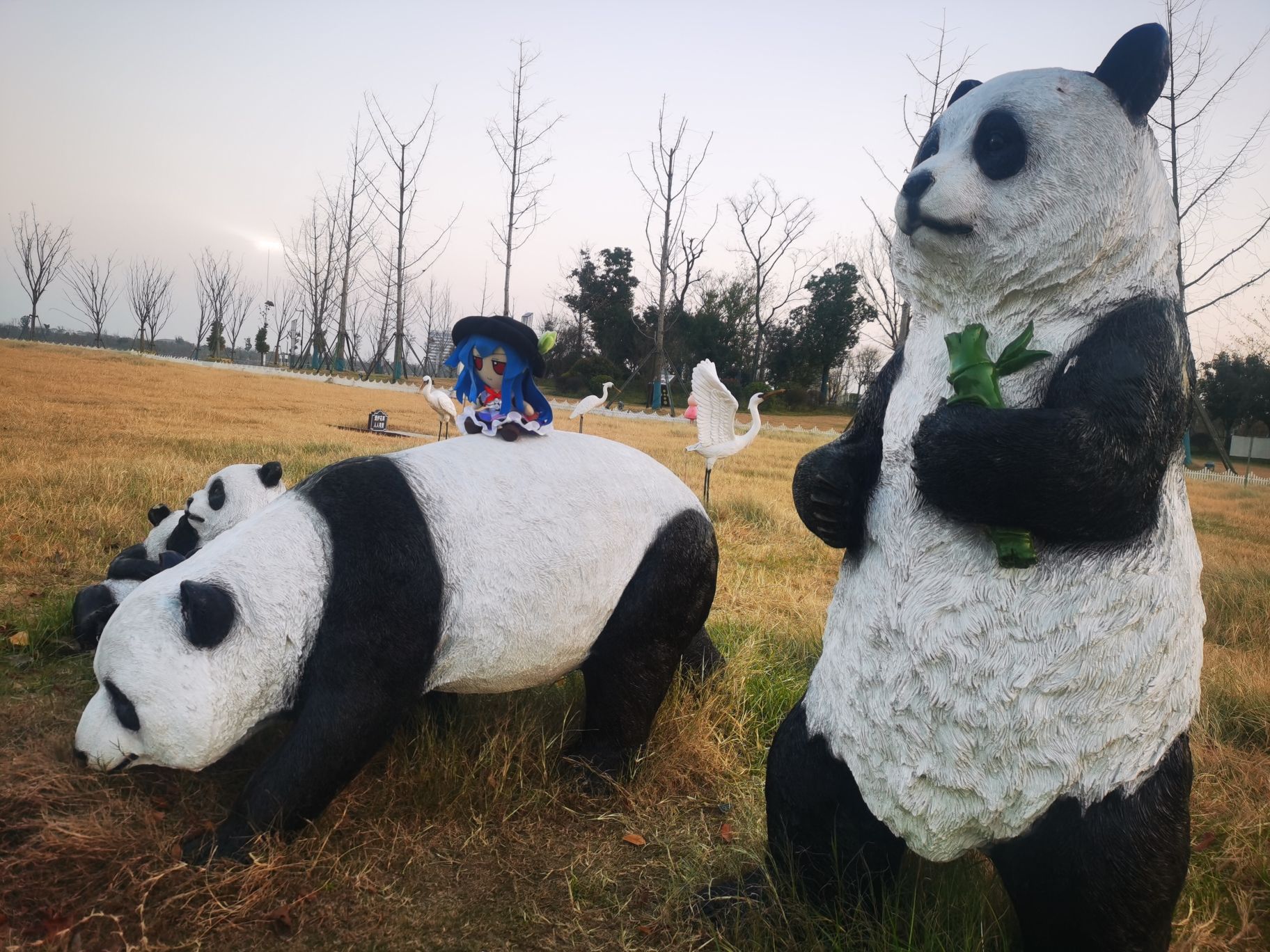 謇公湖生态公园旅行图片 1