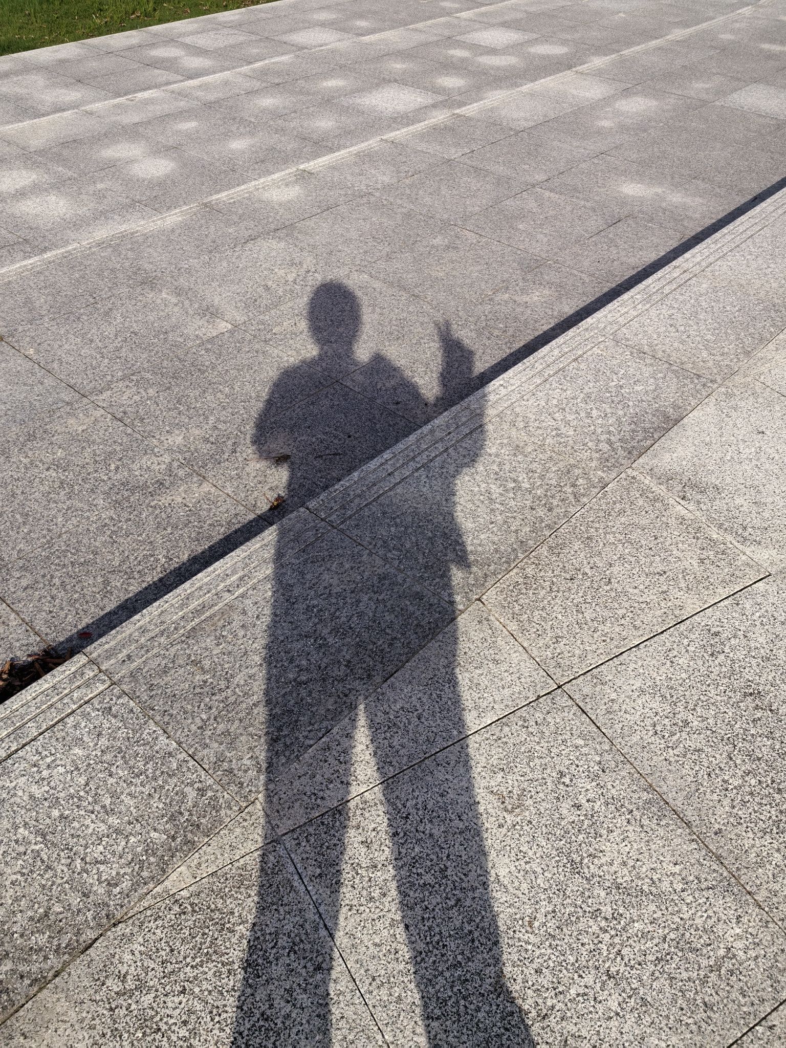 謇公湖生态公园旅行图片 2